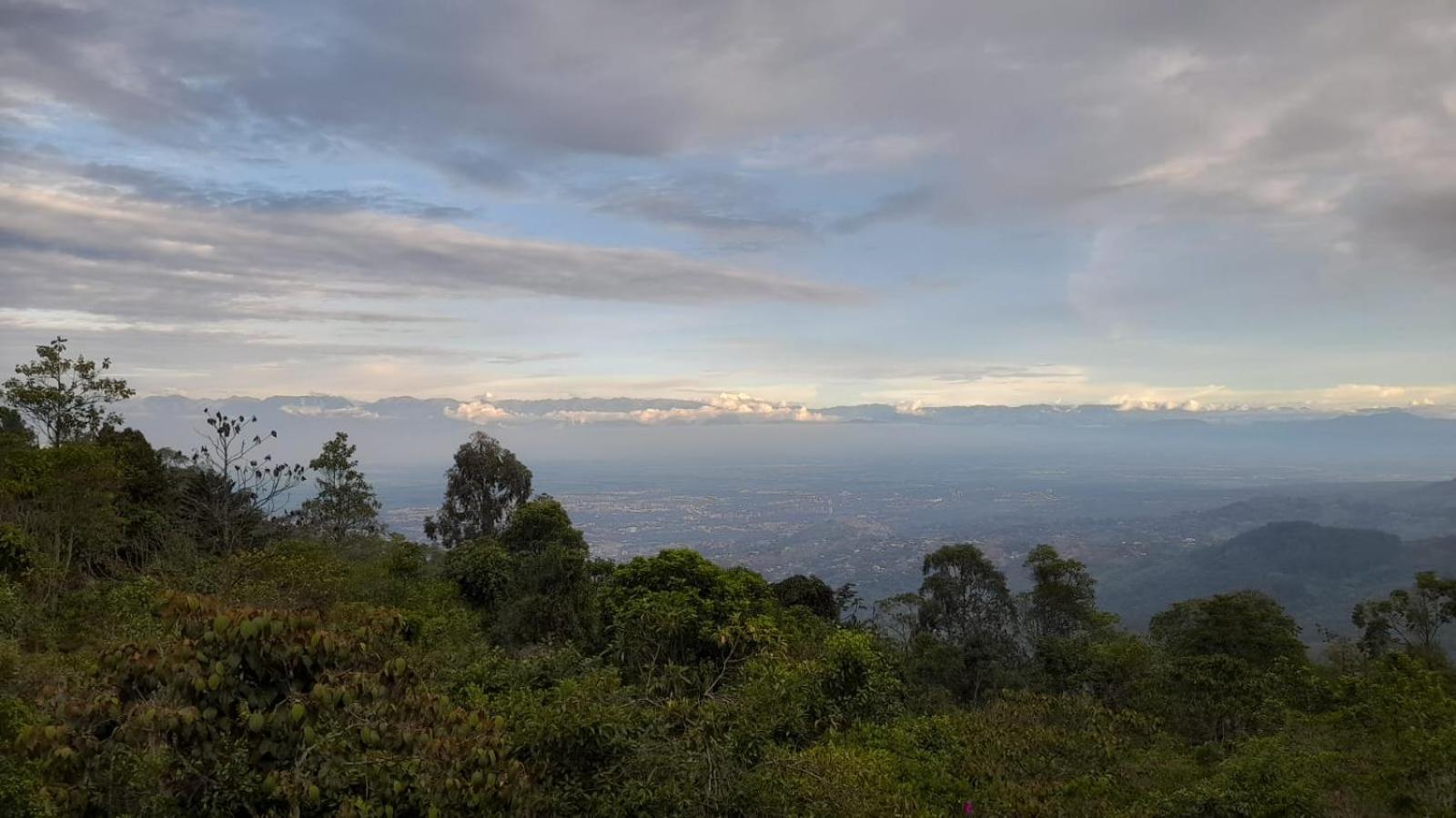 Luna Nueva Eco