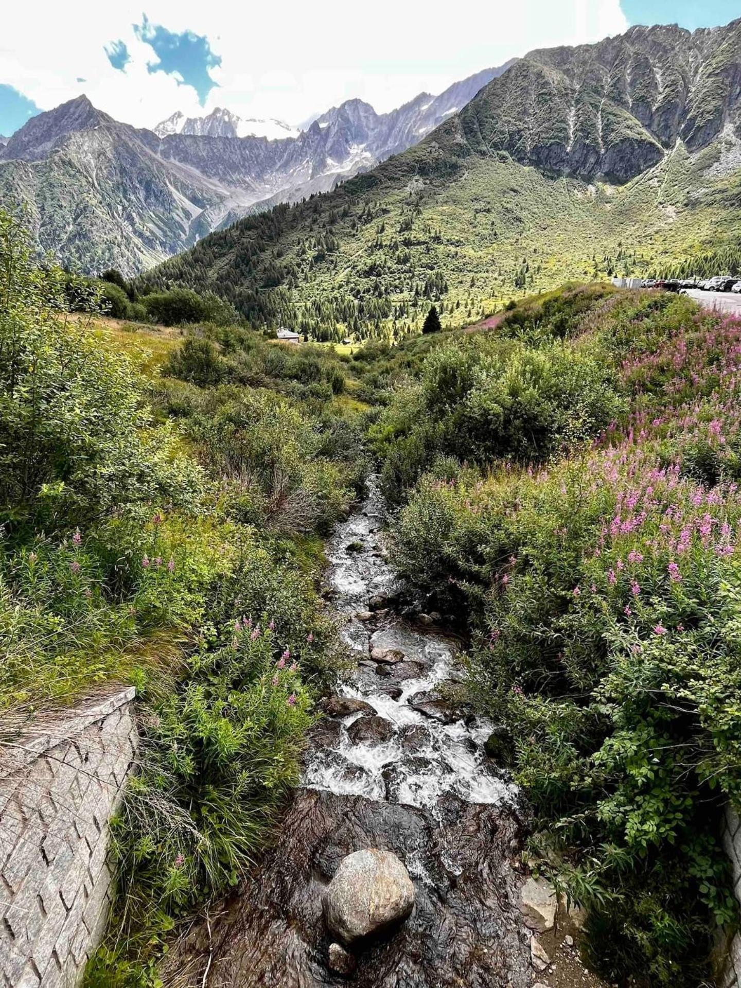 Photo 49