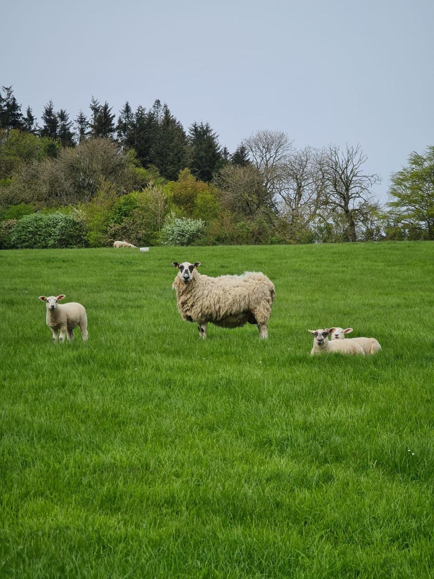 Bruxie Holiday Cottages - River Cottage