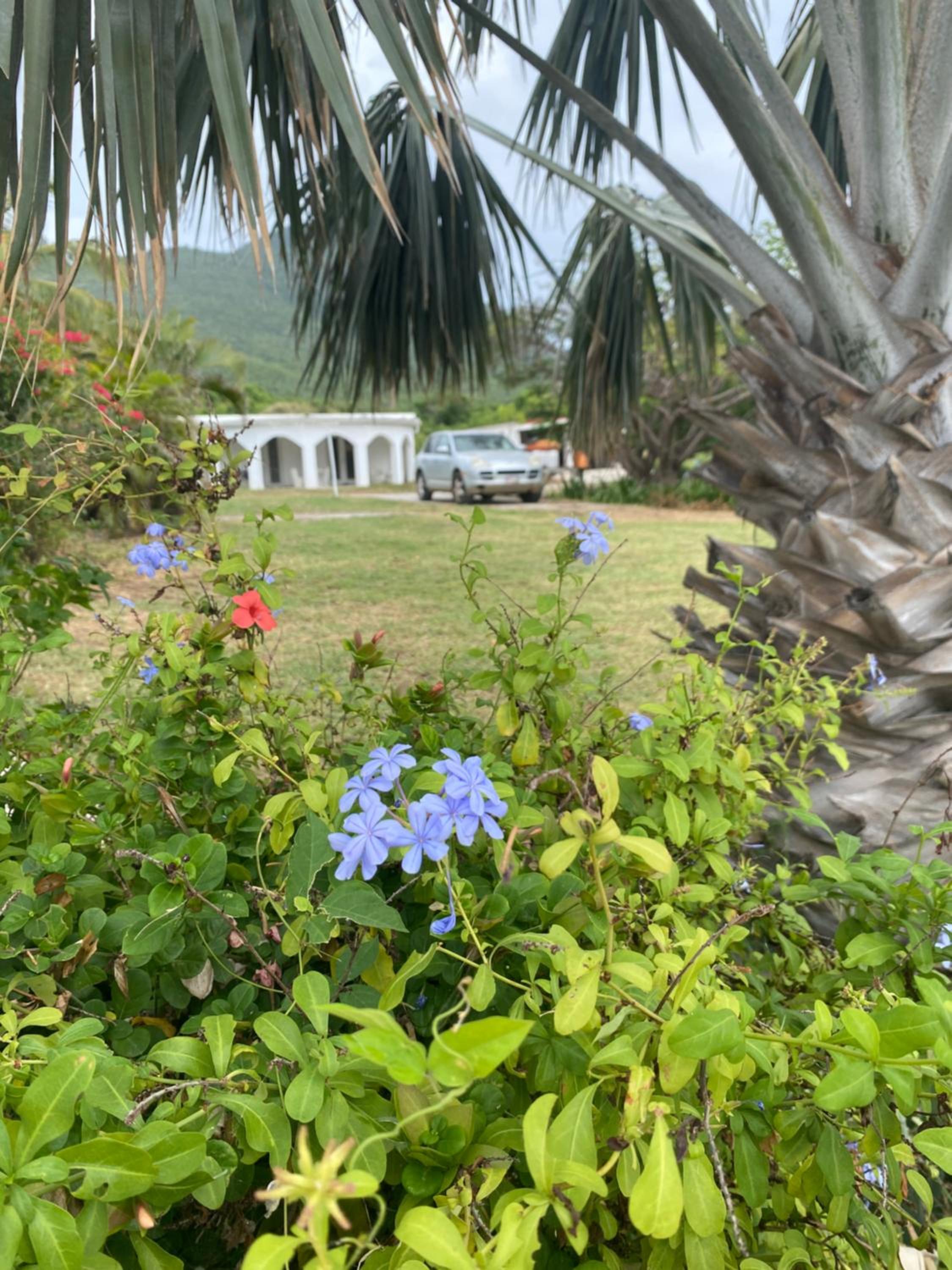 The Beach House and 2 appartments for full or separate rental, all with pool and private beach