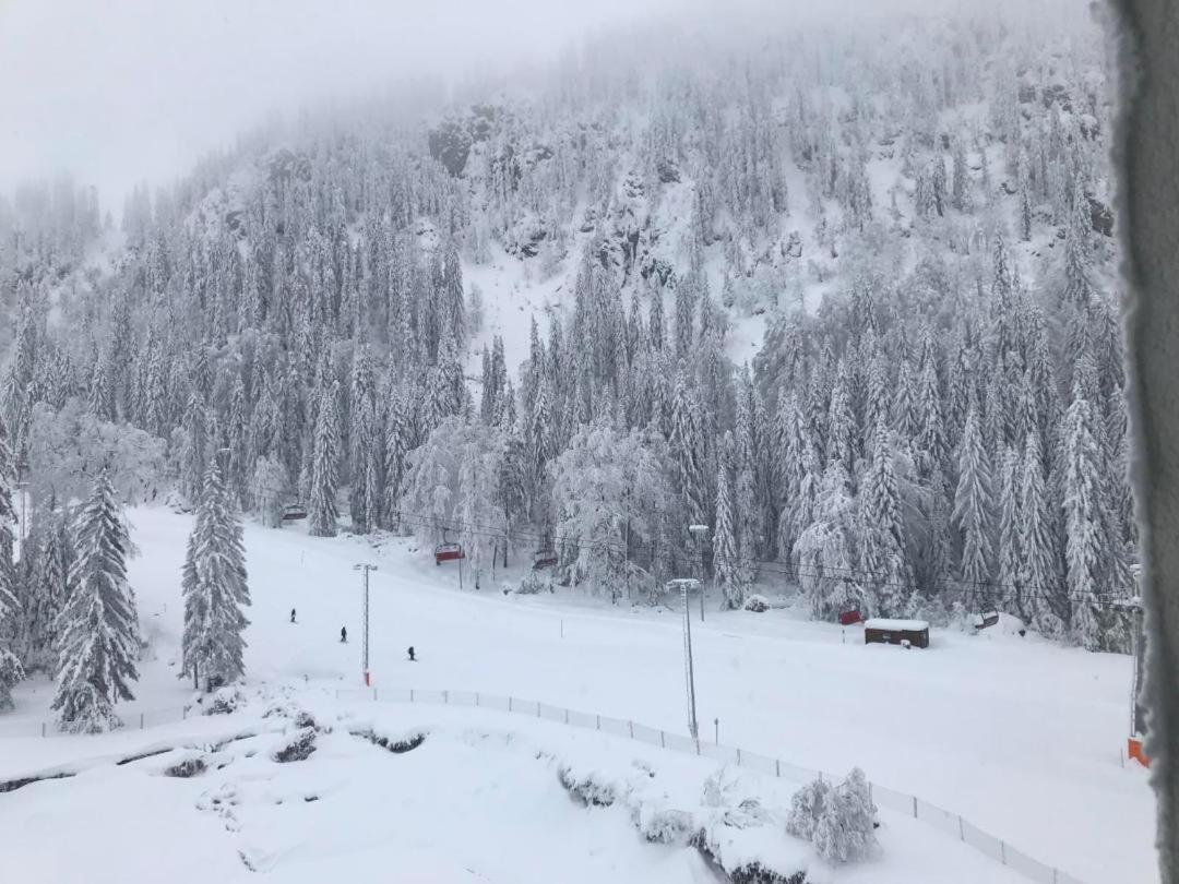 Apartman RIVENDELL RIDGE Jahorina - apartman na stazi