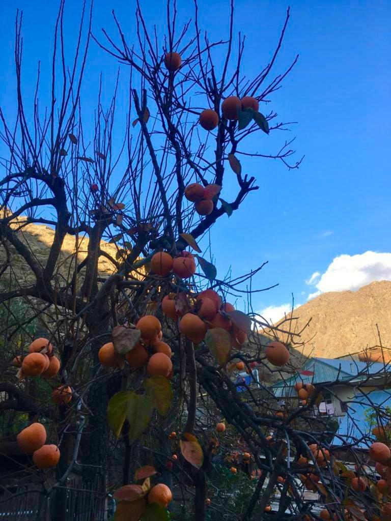 Poqr Tagh