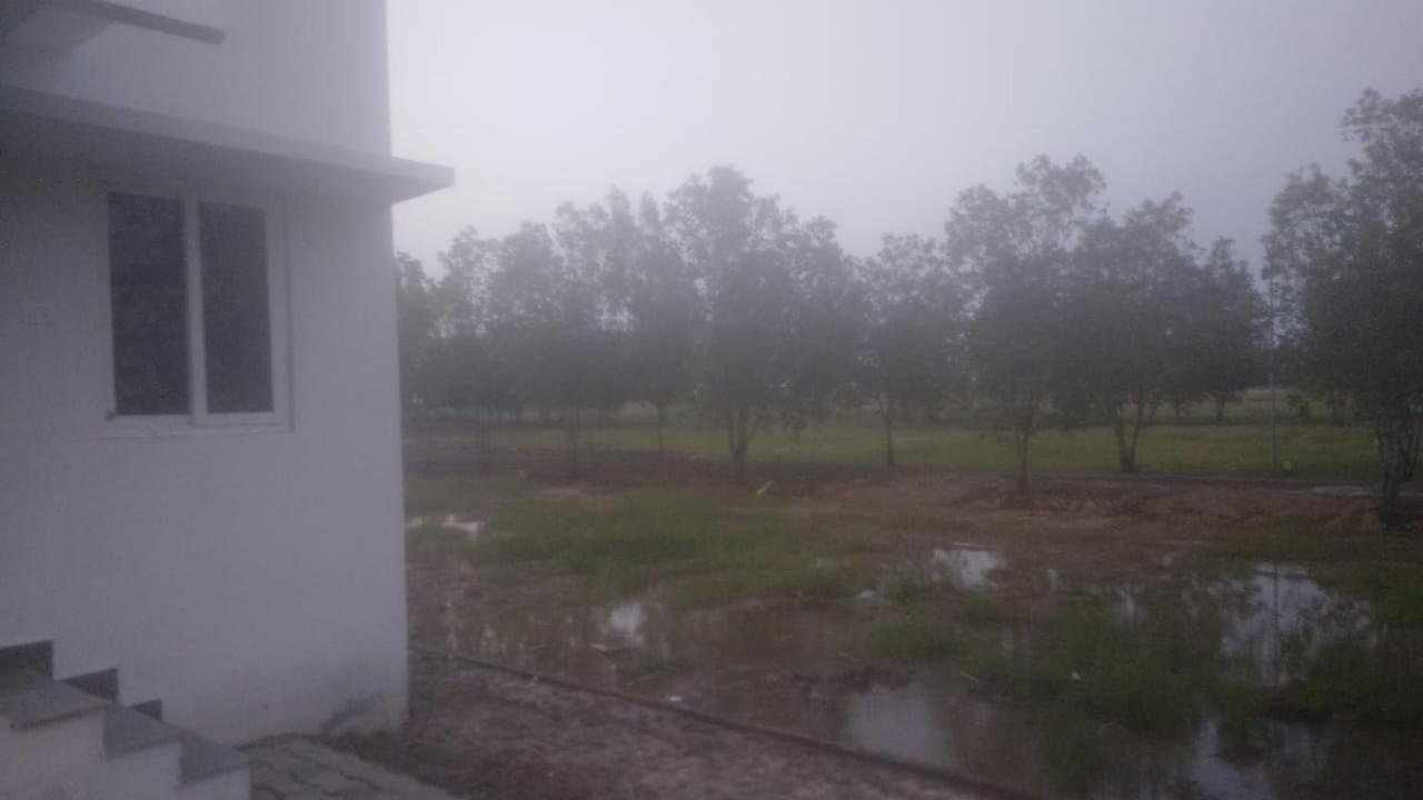 Photo 9