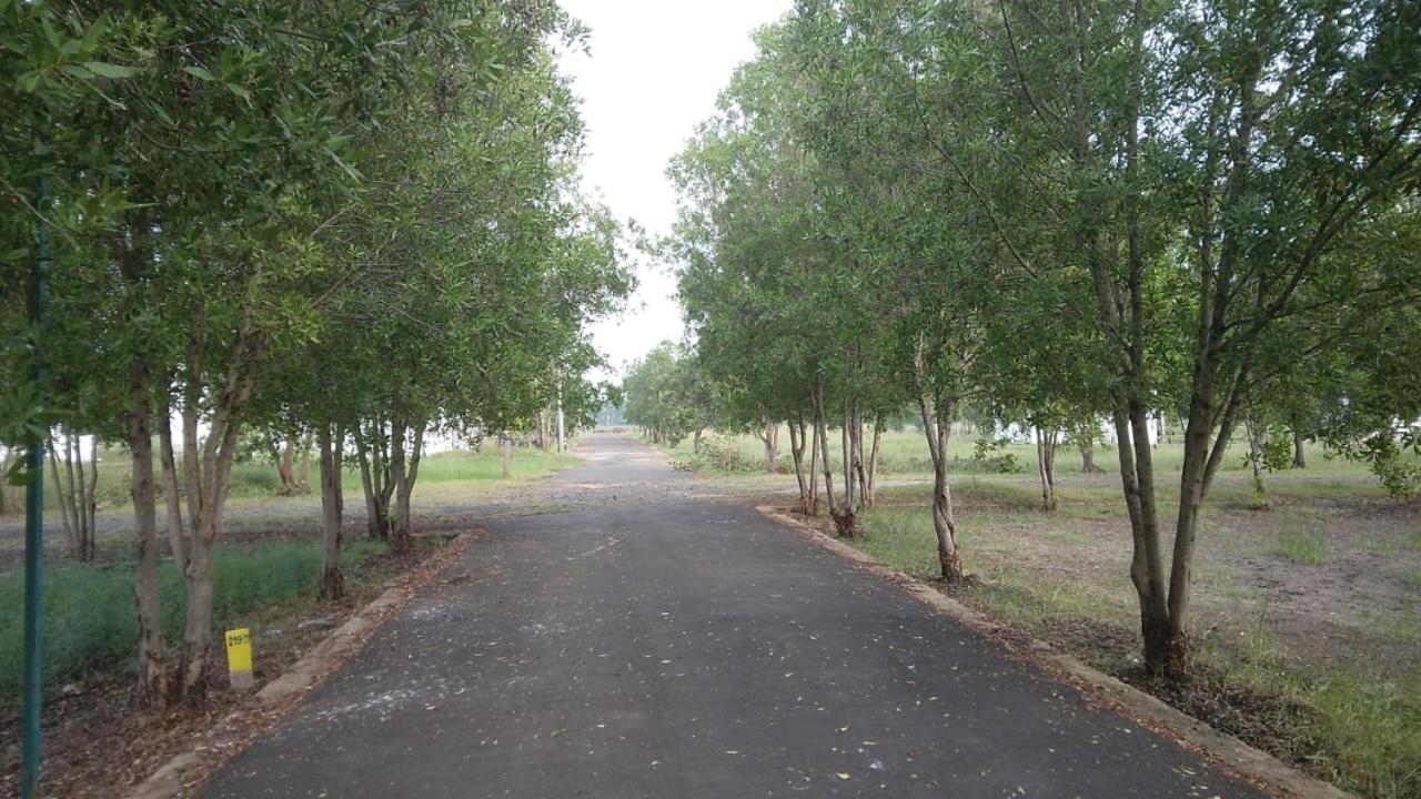 Emeraldvilla256B view 2