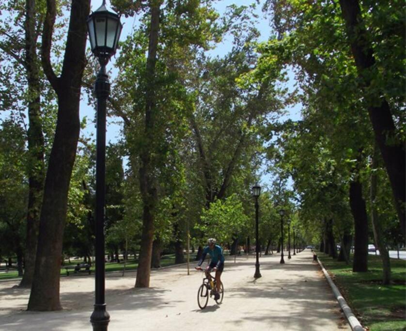 Sunny, Spacious and Best Location