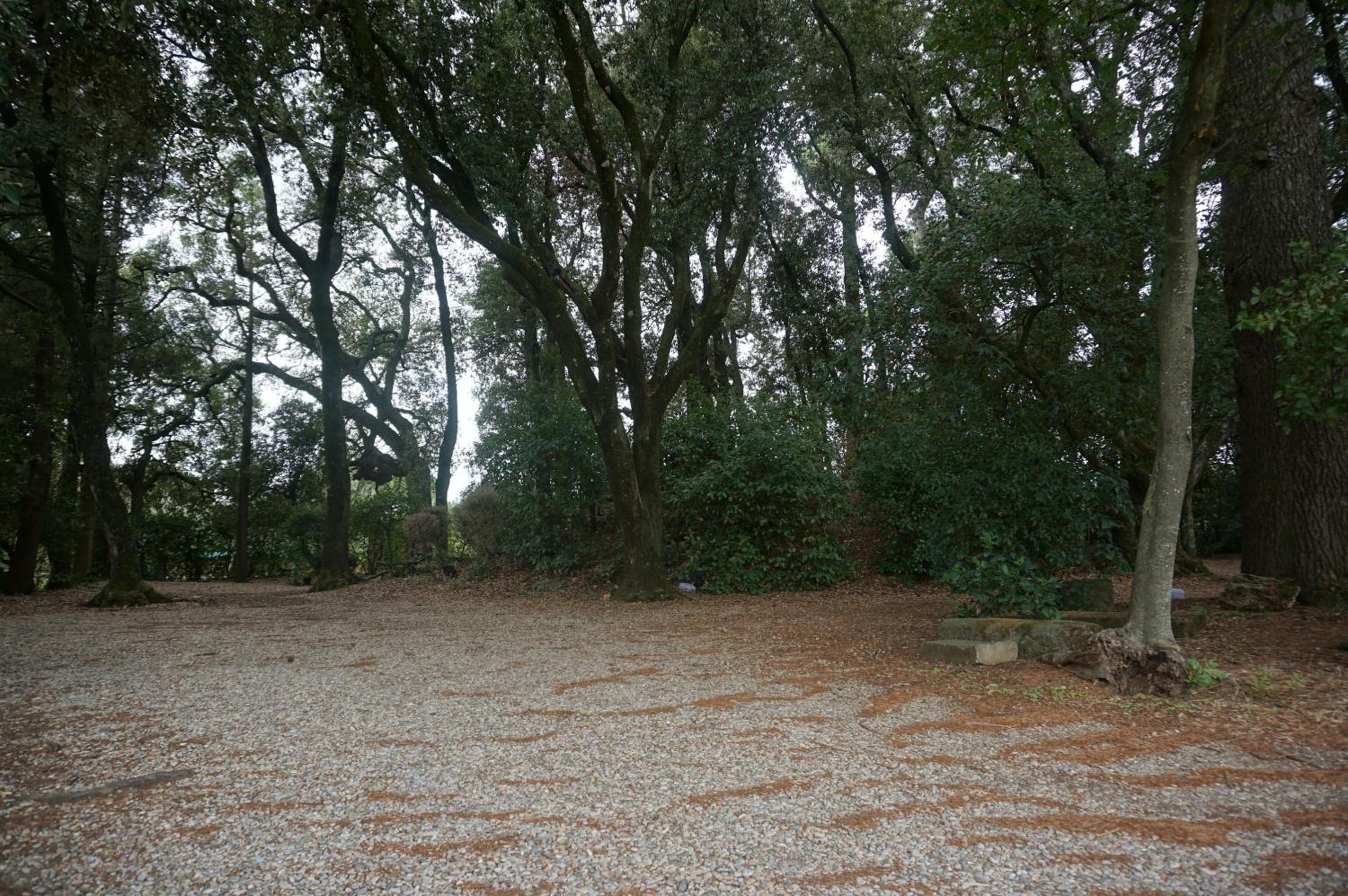 Photo 33