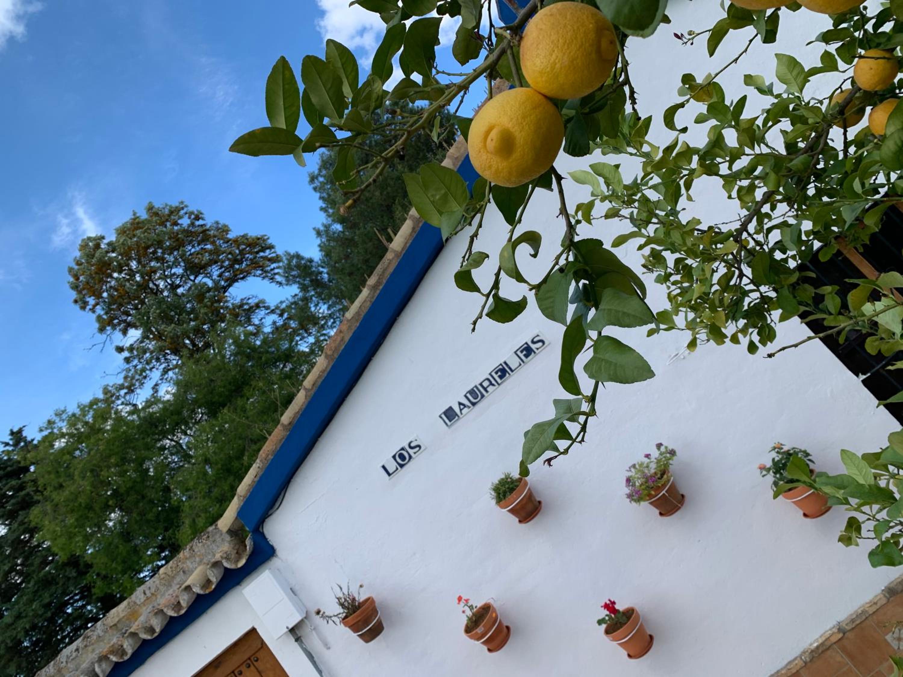 Casa los Laureles