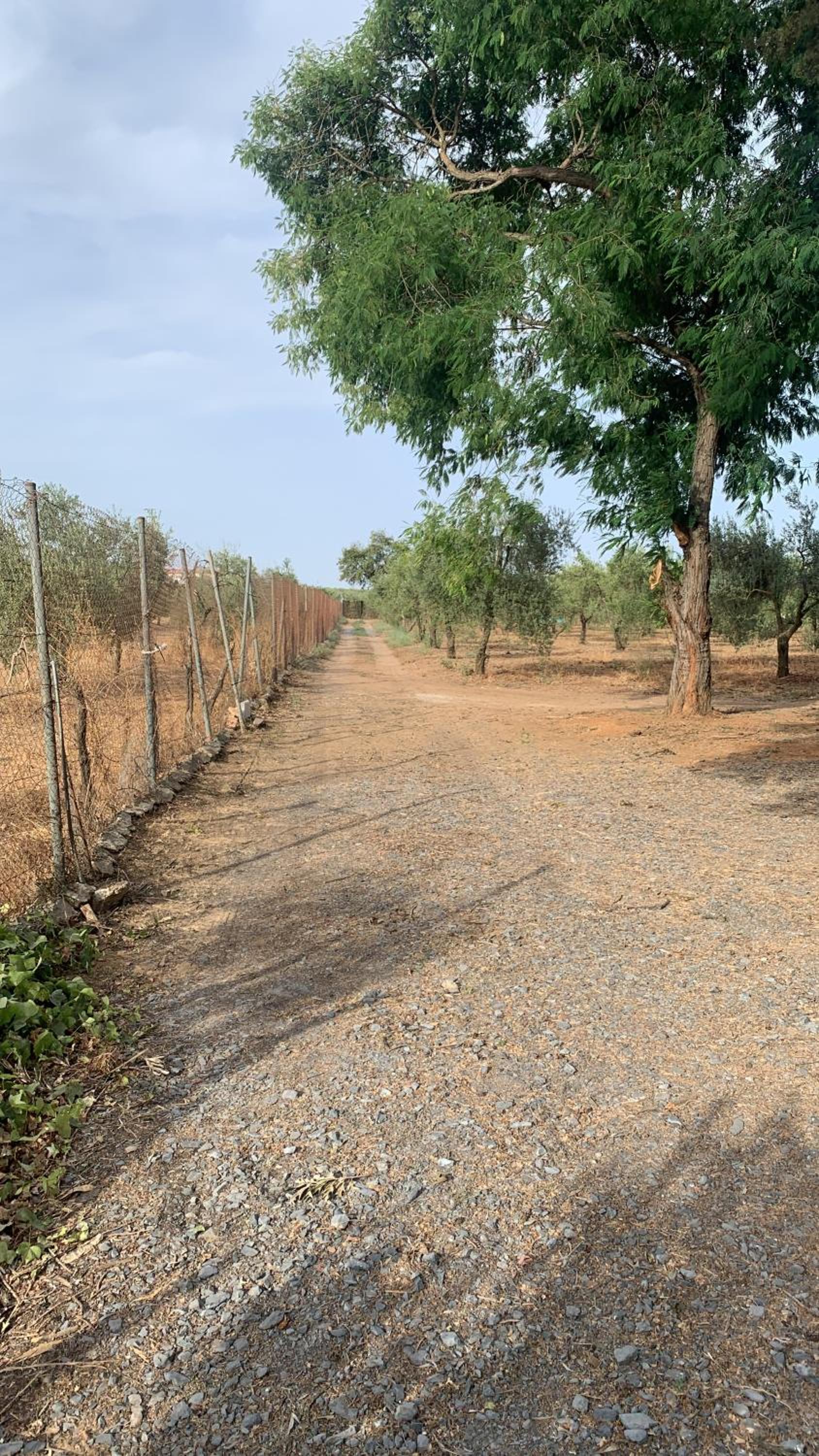Casa los Laureles