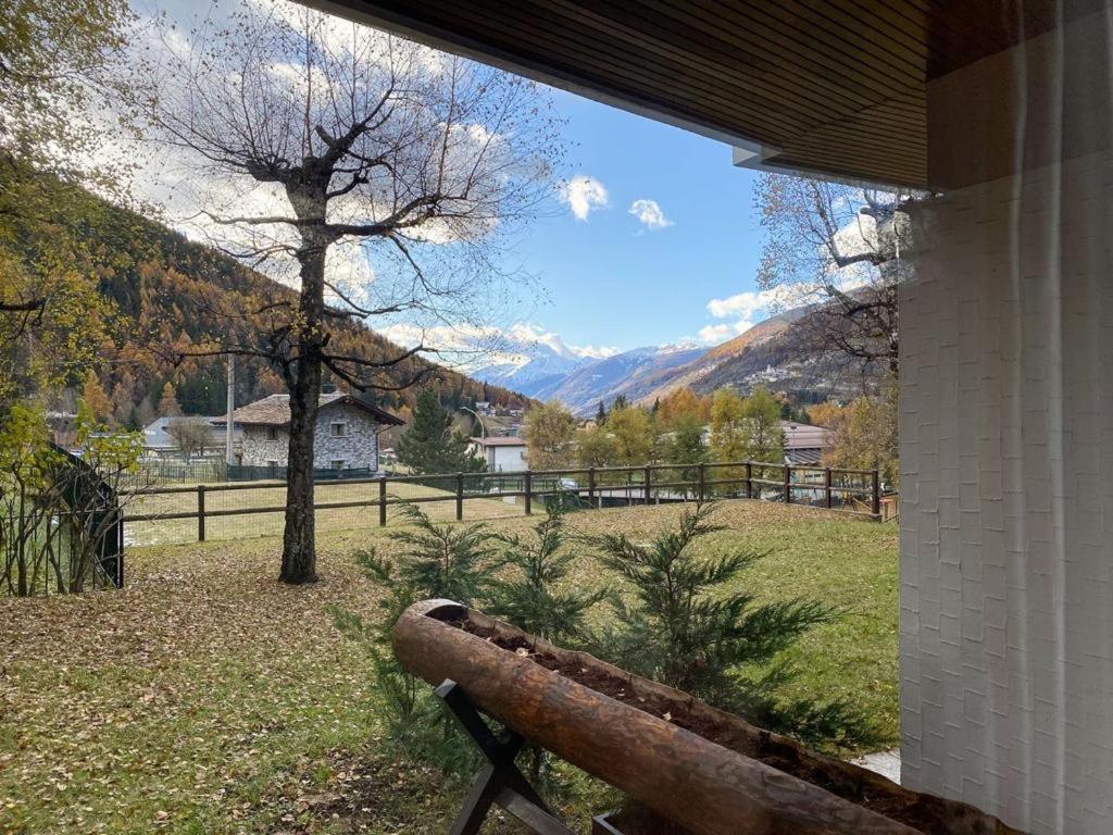 Pepe's Home, comfort per coppie o famiglie view 5