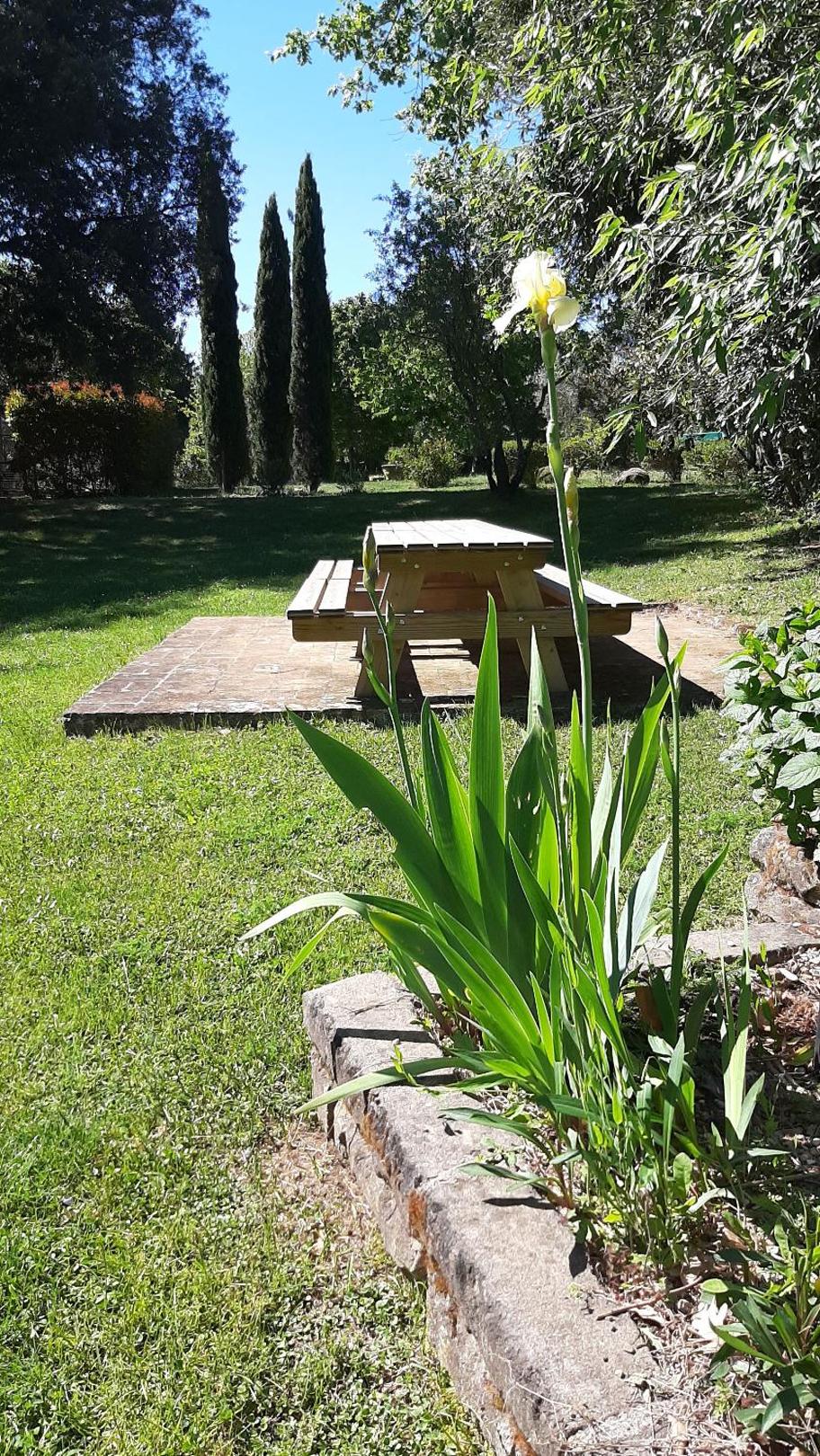 Photo 34