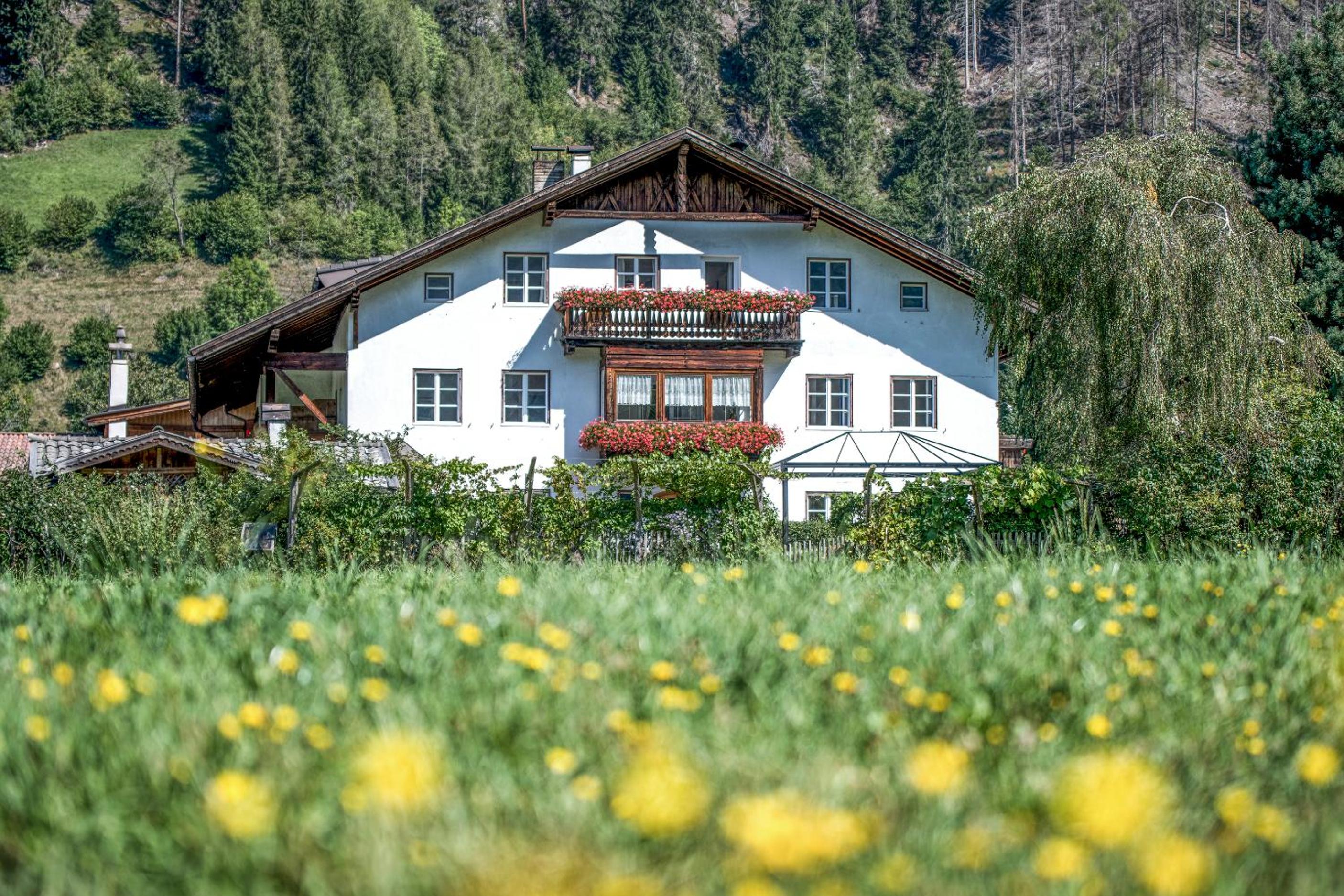 Rieplhof - Relaxing farm stay with breakfast and mountain view