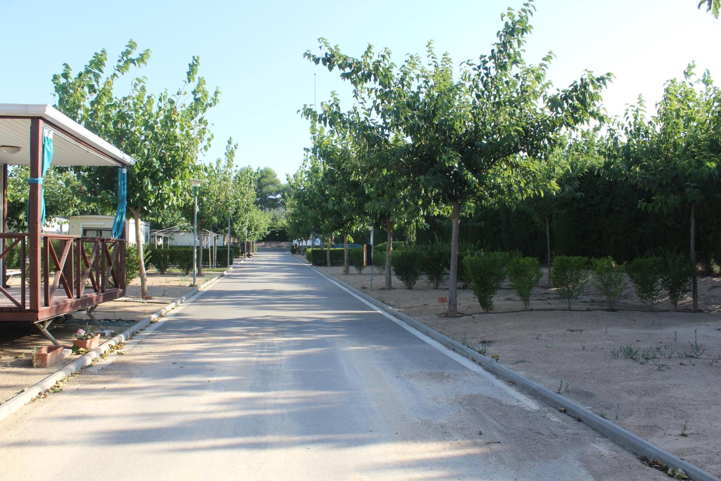Camping Fayón Fishing