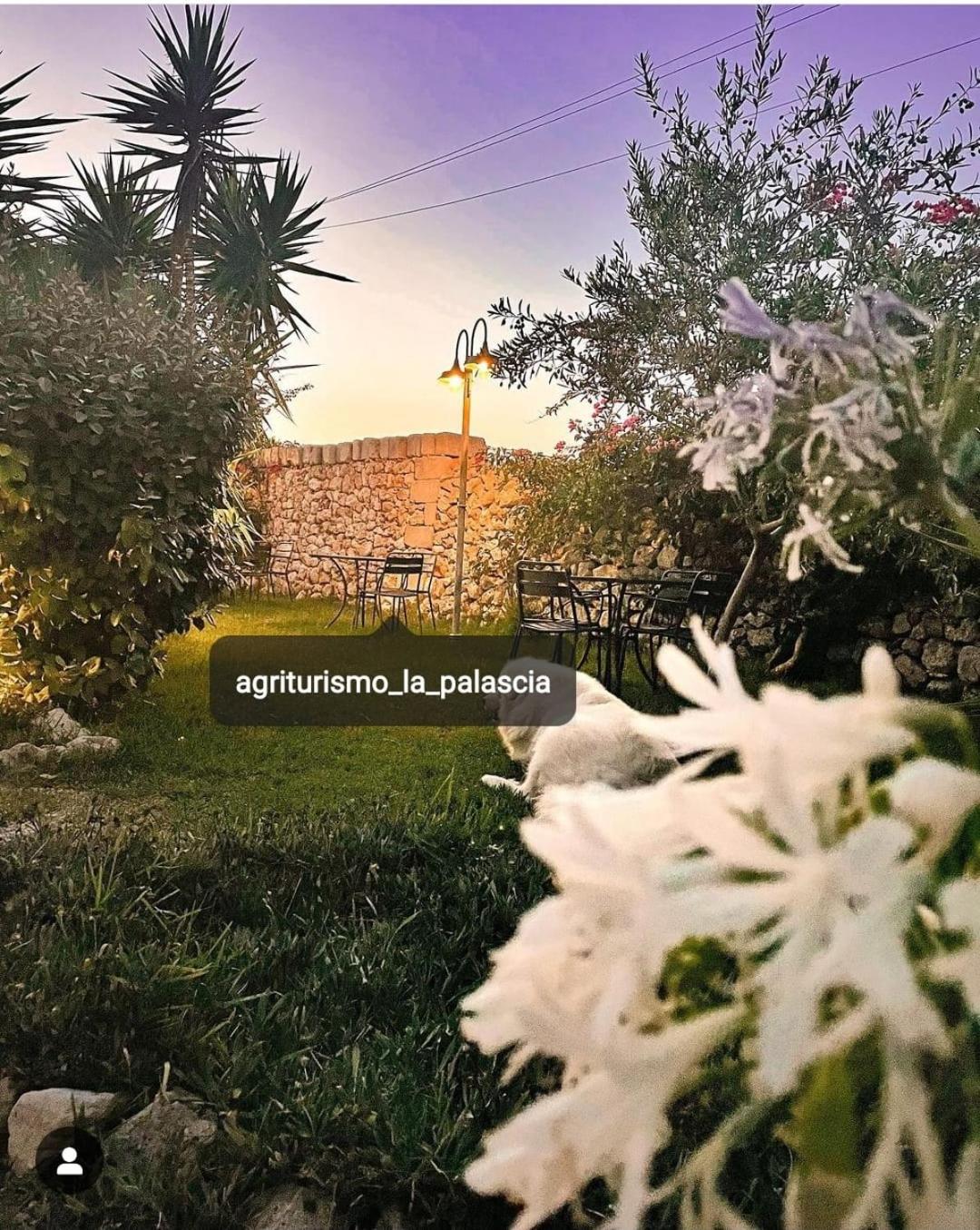 Photo 56