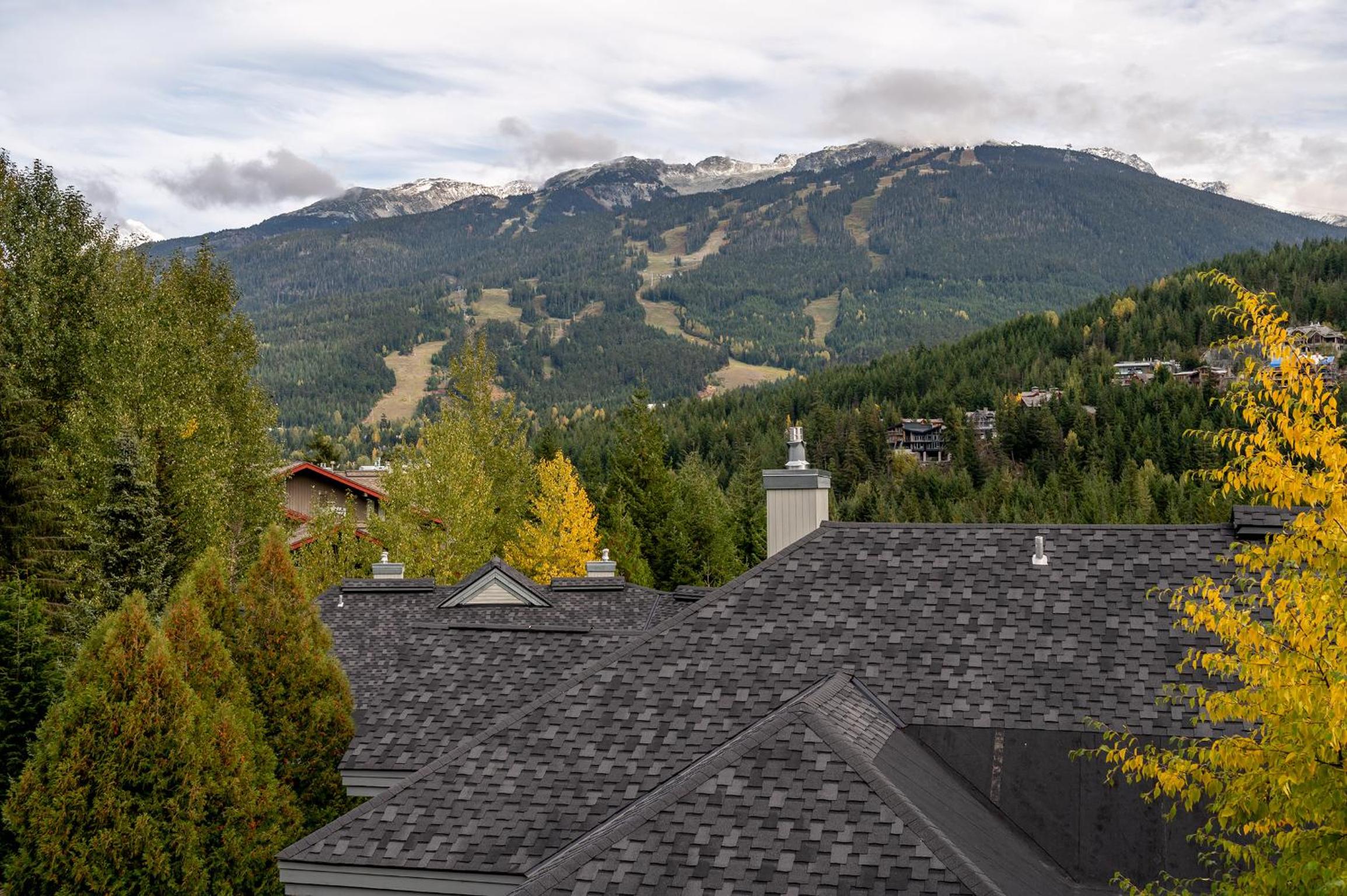 Renovated Lynx Property - Spacious 4 bedroom with private balcony and hot tub!