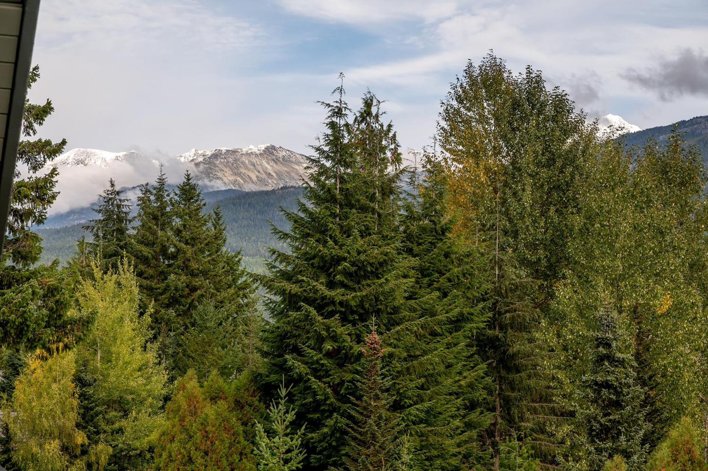 Renovated Lynx Property - Spacious 4 bedroom with private balcony and hot tub!