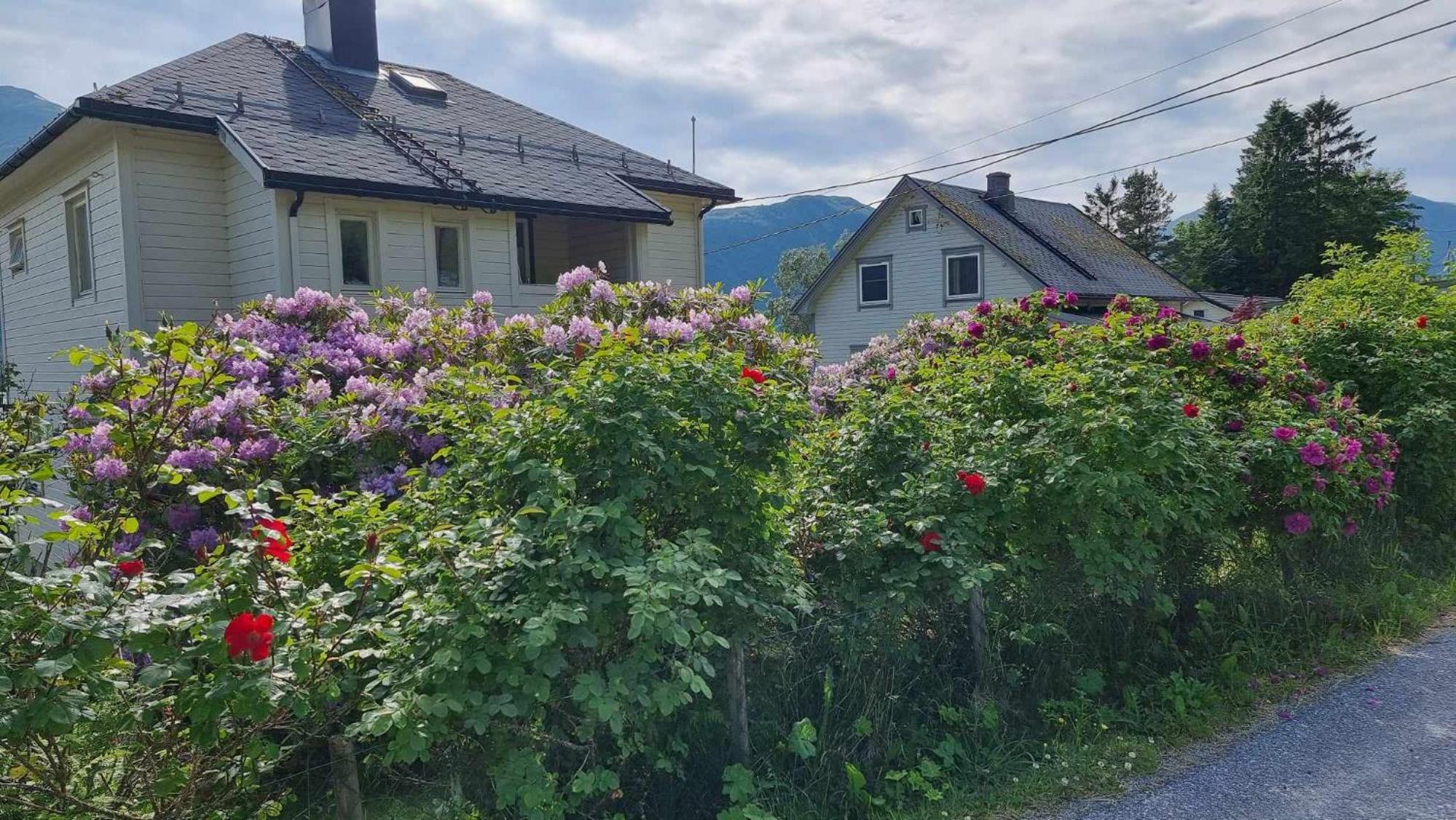 Feriehus Voldstad