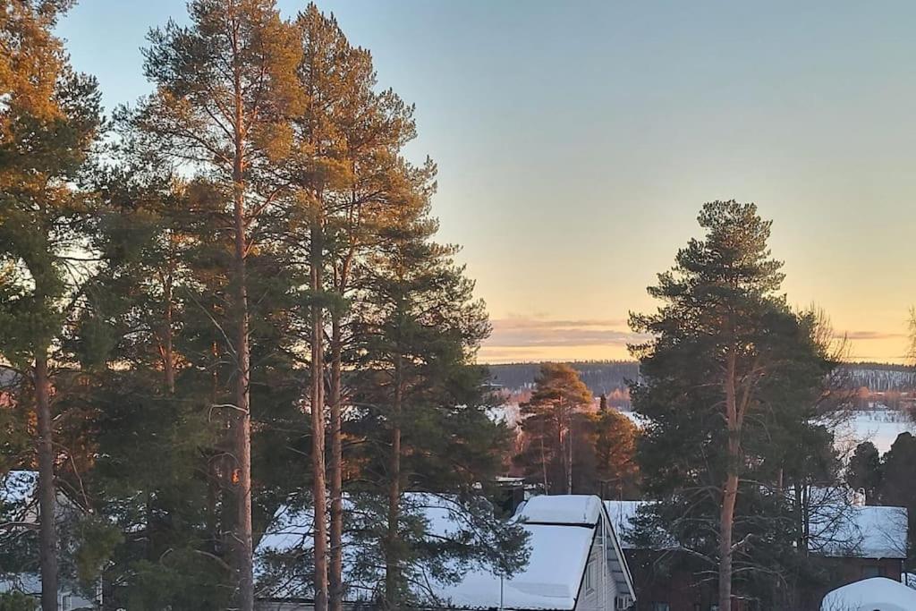 Nordic home top floor apartment