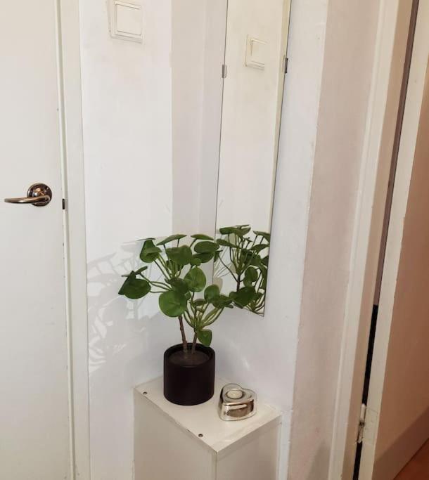 Nordic home top floor apartment