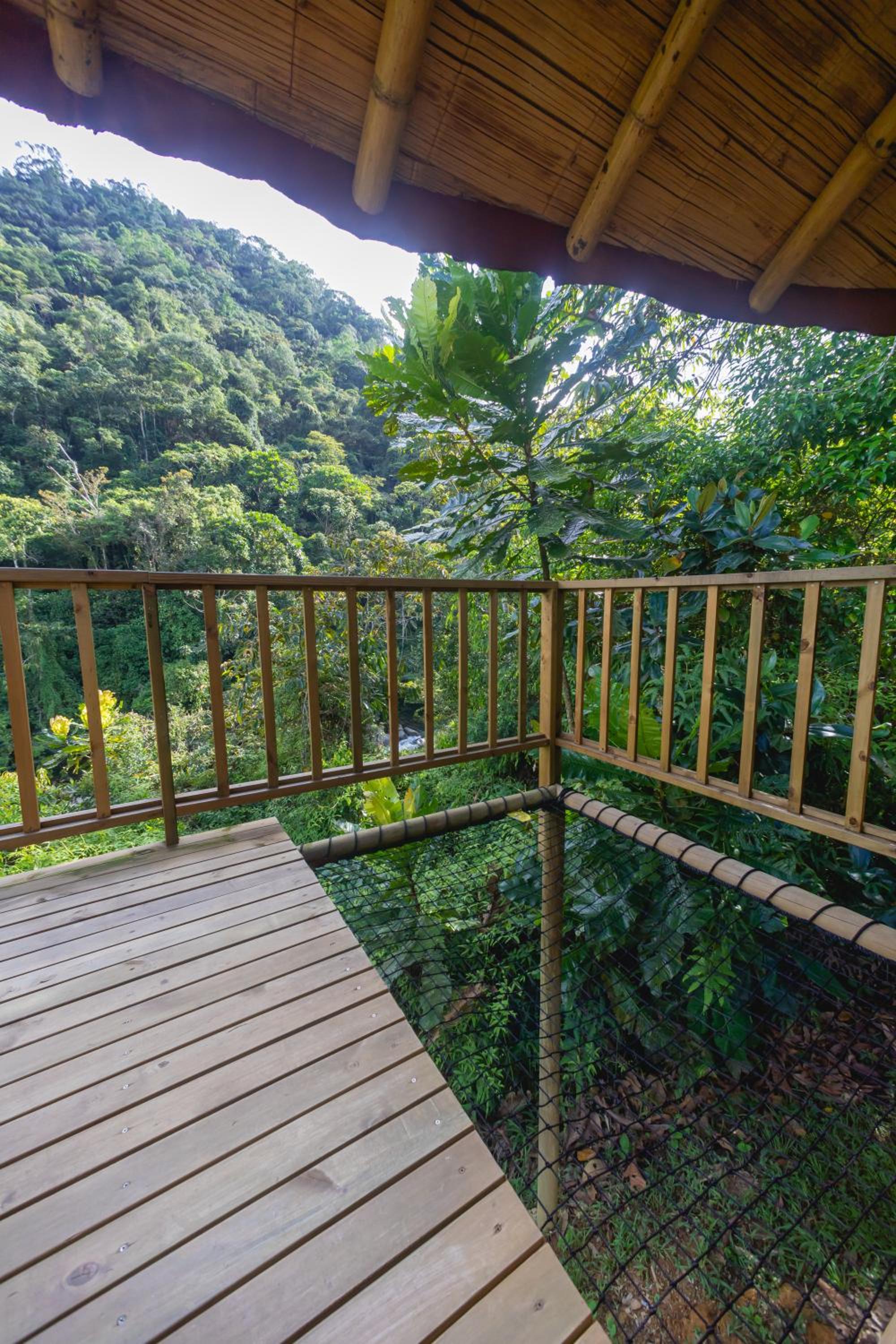 La Perla Negra Eco-Lodge & Hostel
