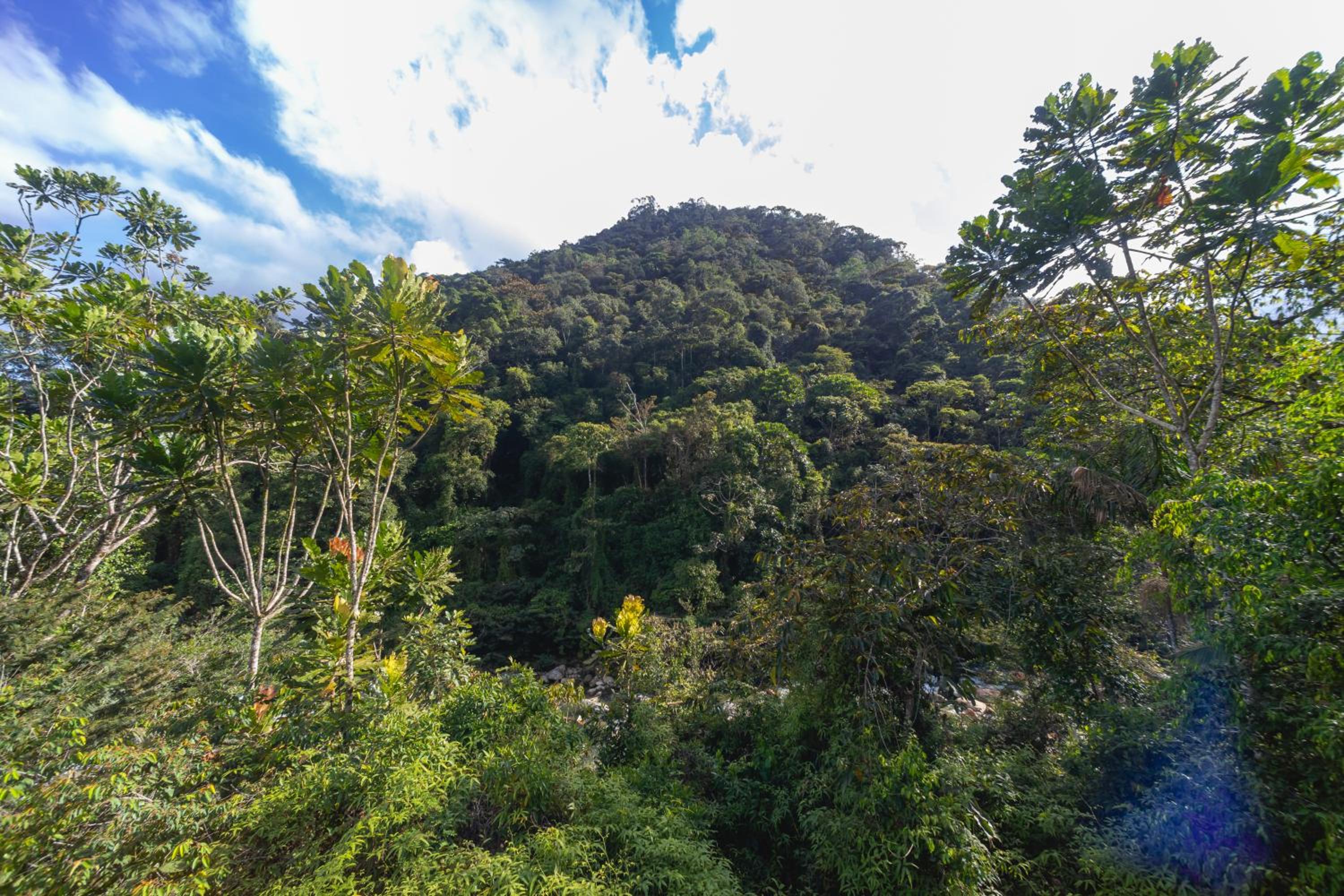 La Perla Negra Eco-Lodge & Hostel