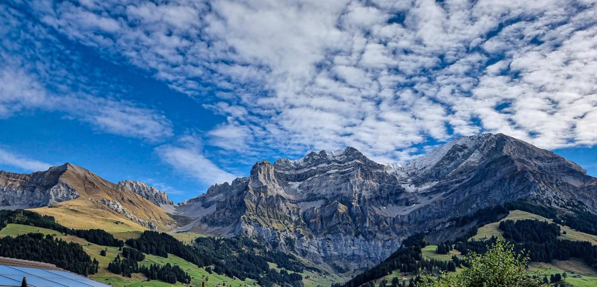 Ferienwohnung Bonderblick