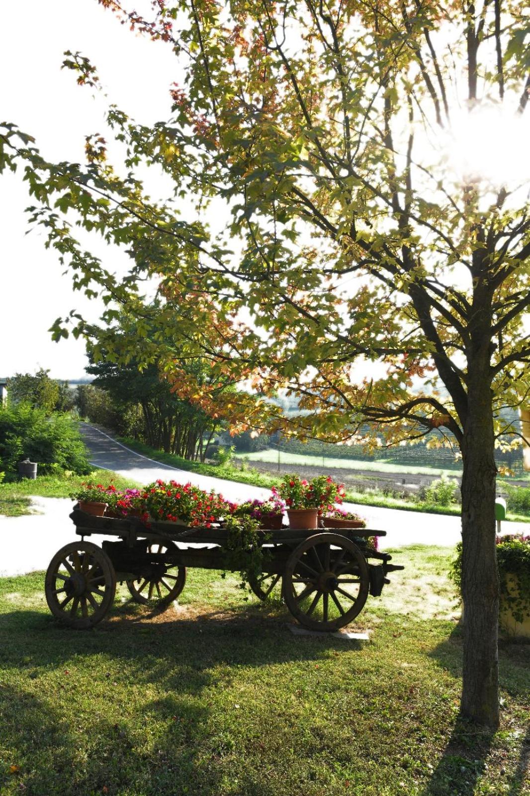 Agriturismo EdMo