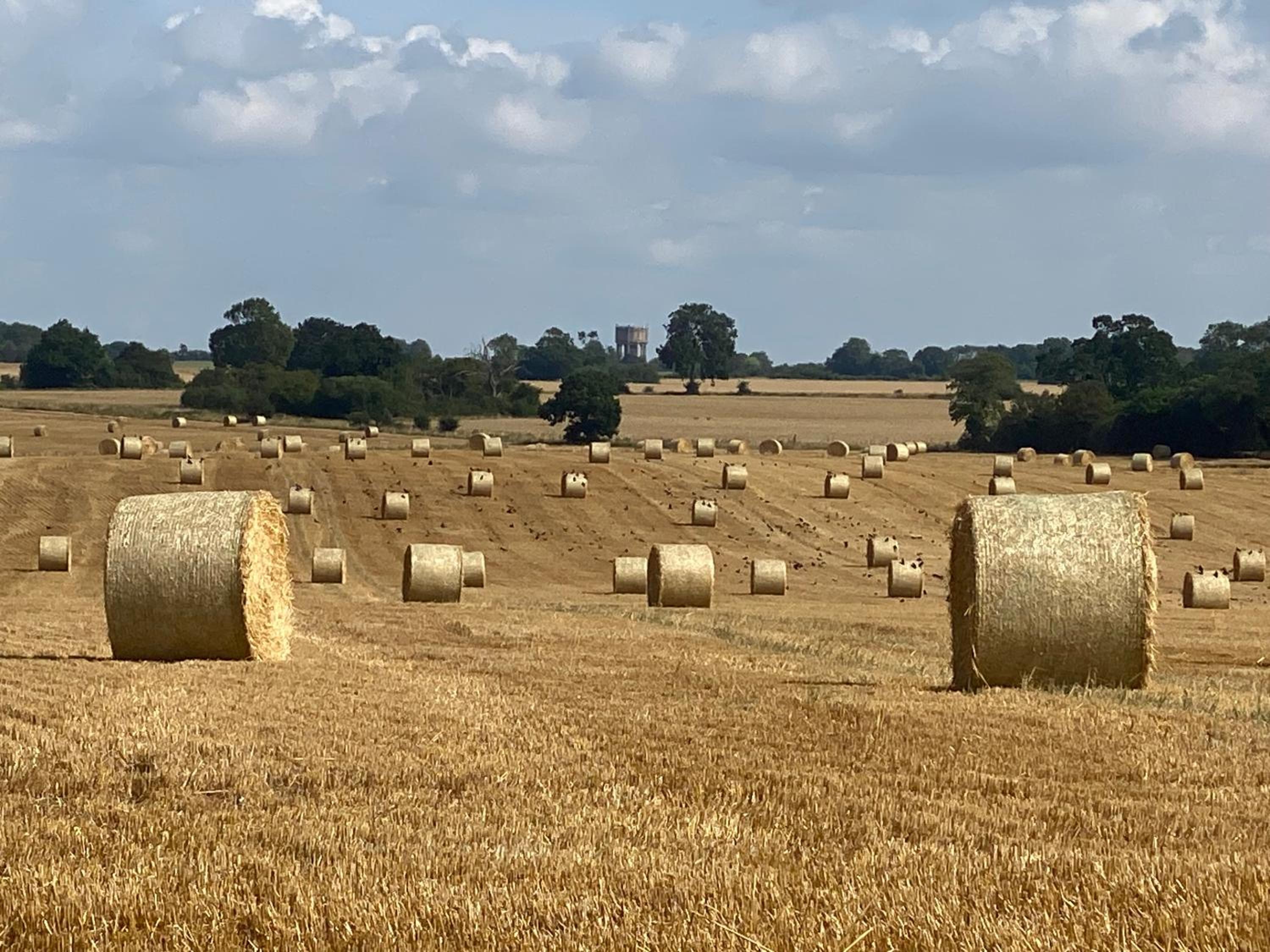 Badgers Rest Loddon