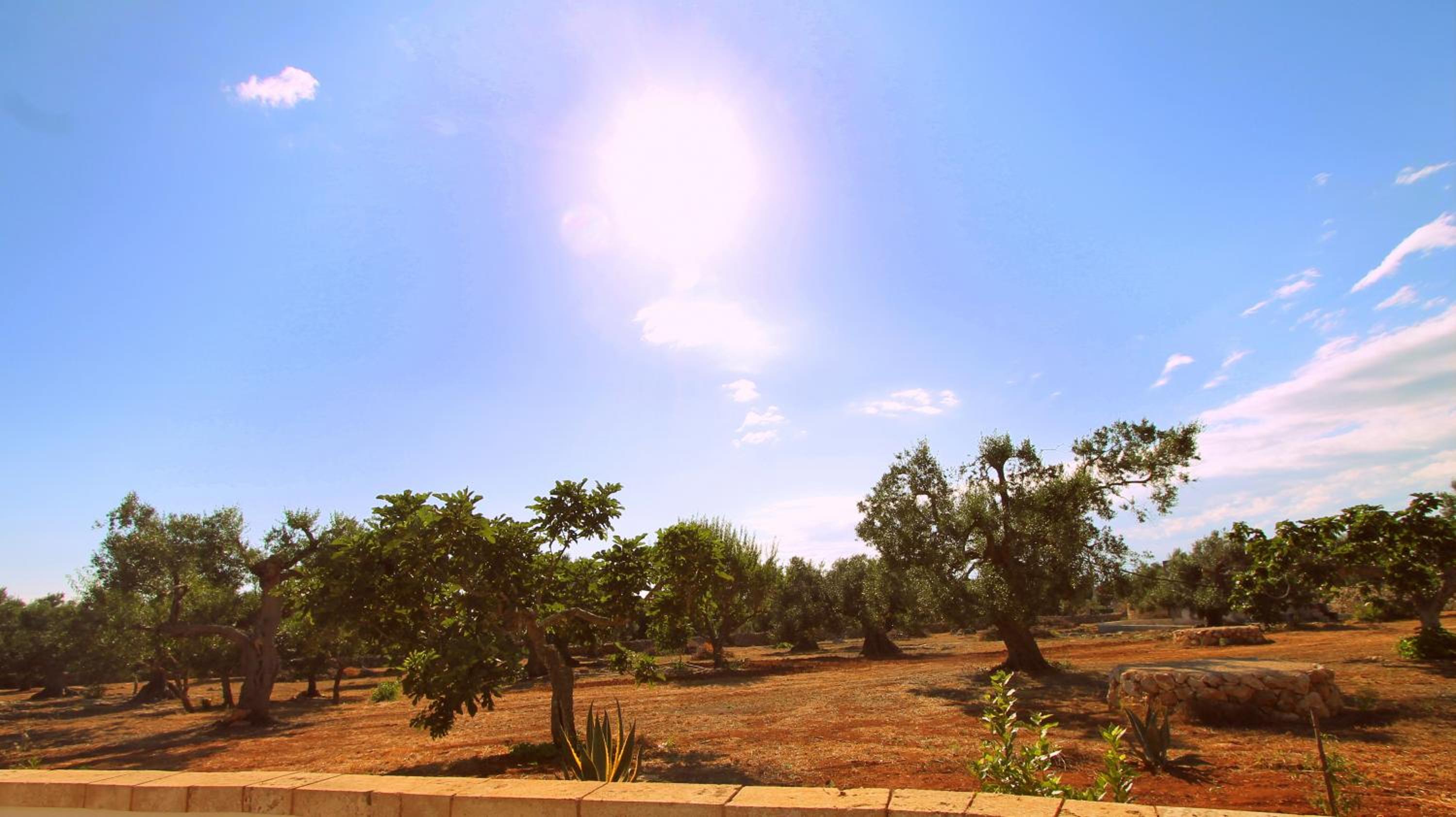Country Salenthouse