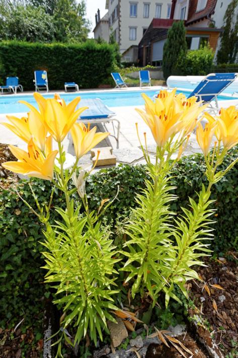 LOGIS Hotel Bel Horizon - Property Image 6