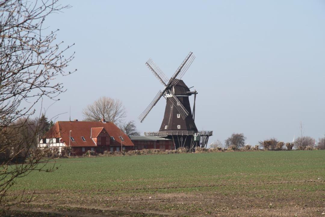 Photo 8