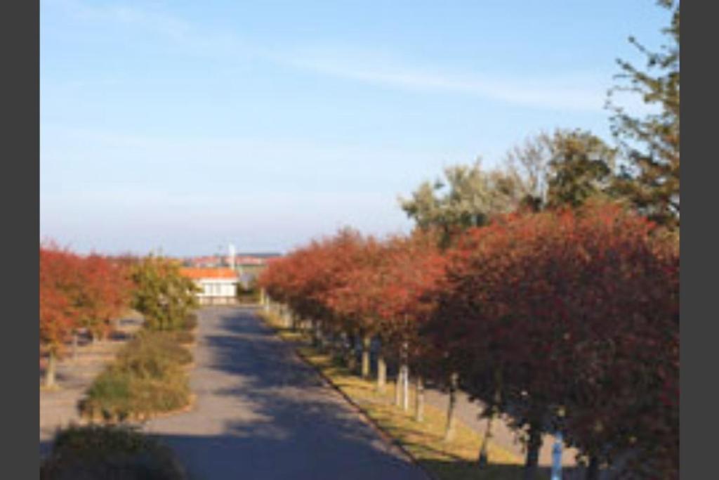 Hafenblick – mit Balkon & Strandkorb am Südstrand view 3
