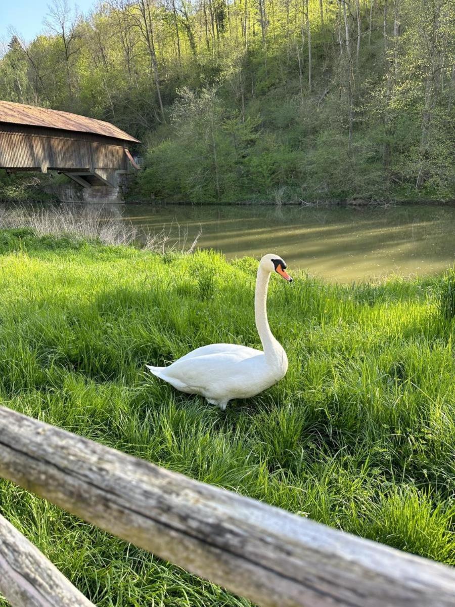 Ferienhaus Pure Jagst, Traum-Lage am Fluss mit Kaminzimmer und Infrarot-Wärmekabine