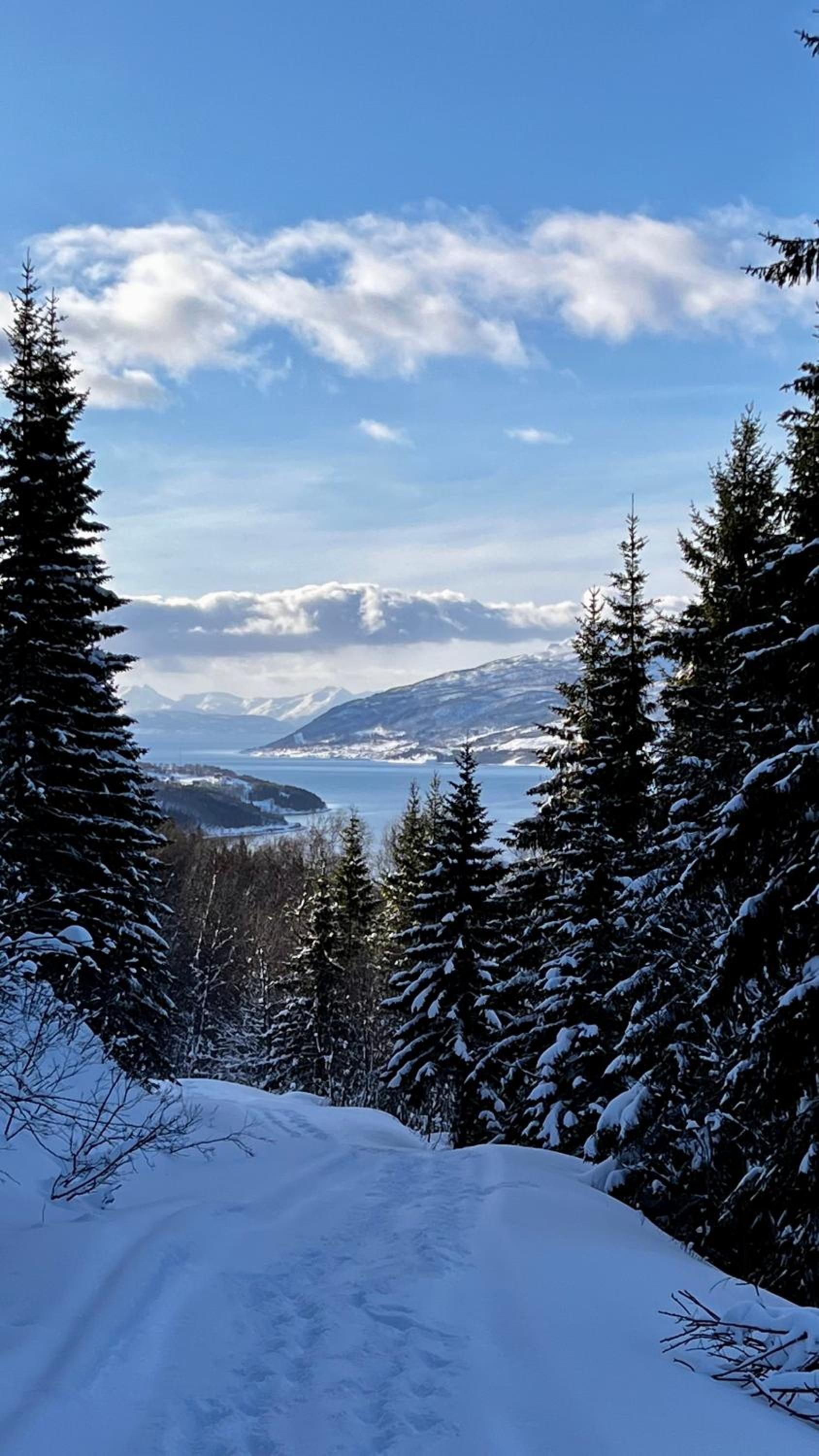 Face Of North
