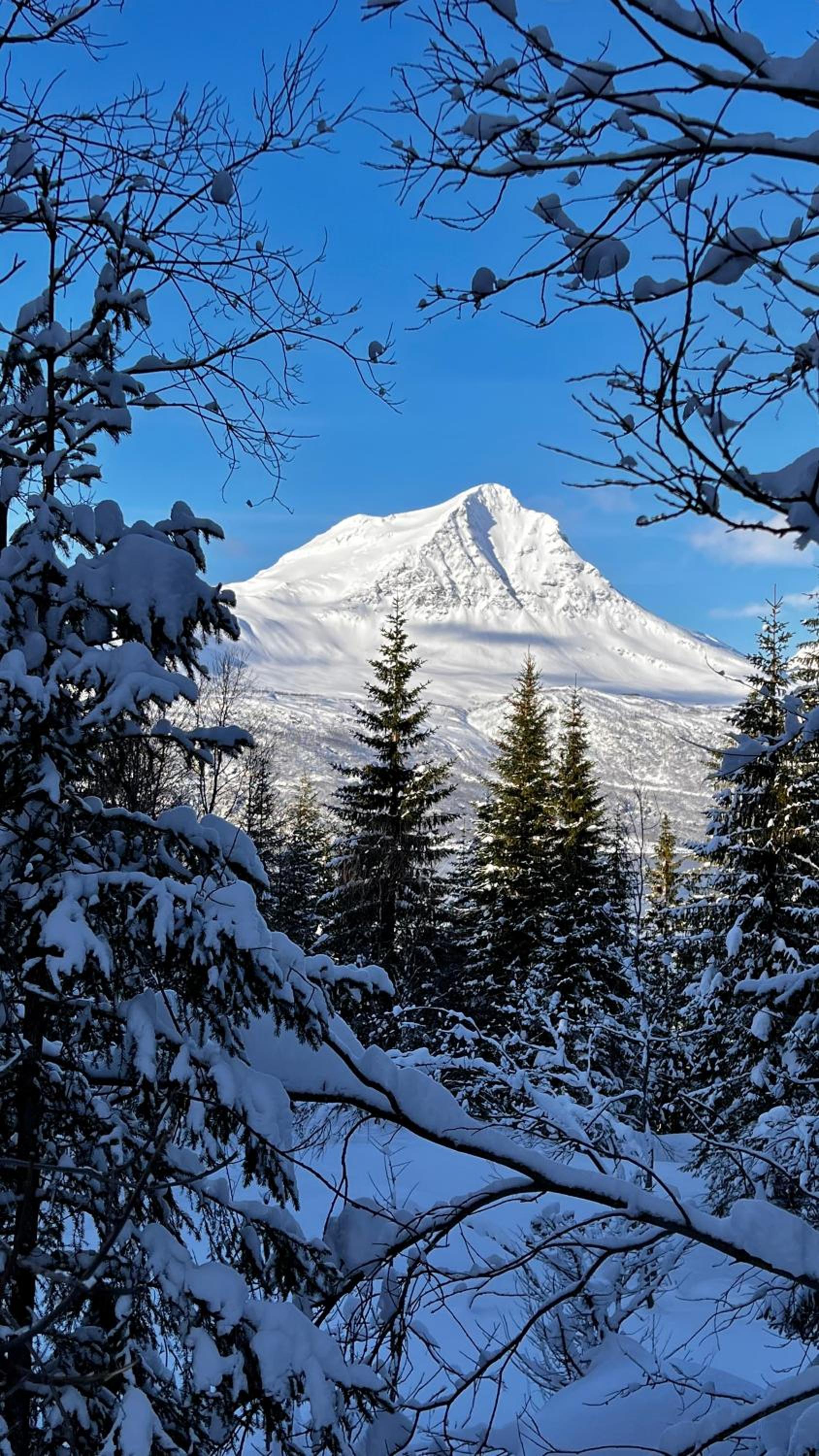 Face Of North
