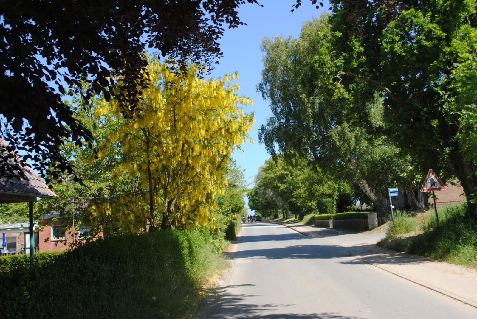 Ostsee-Engel