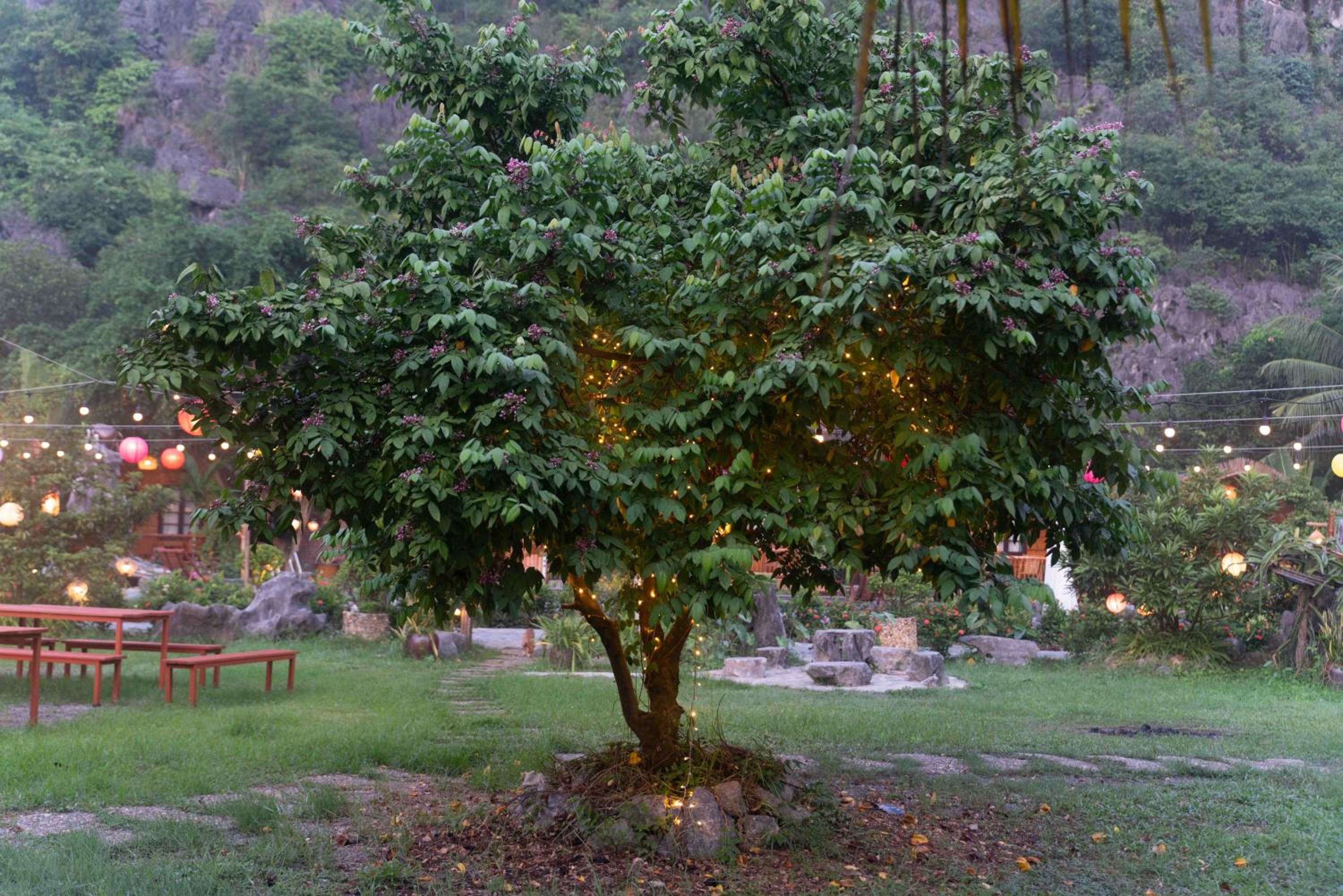 Photo 16