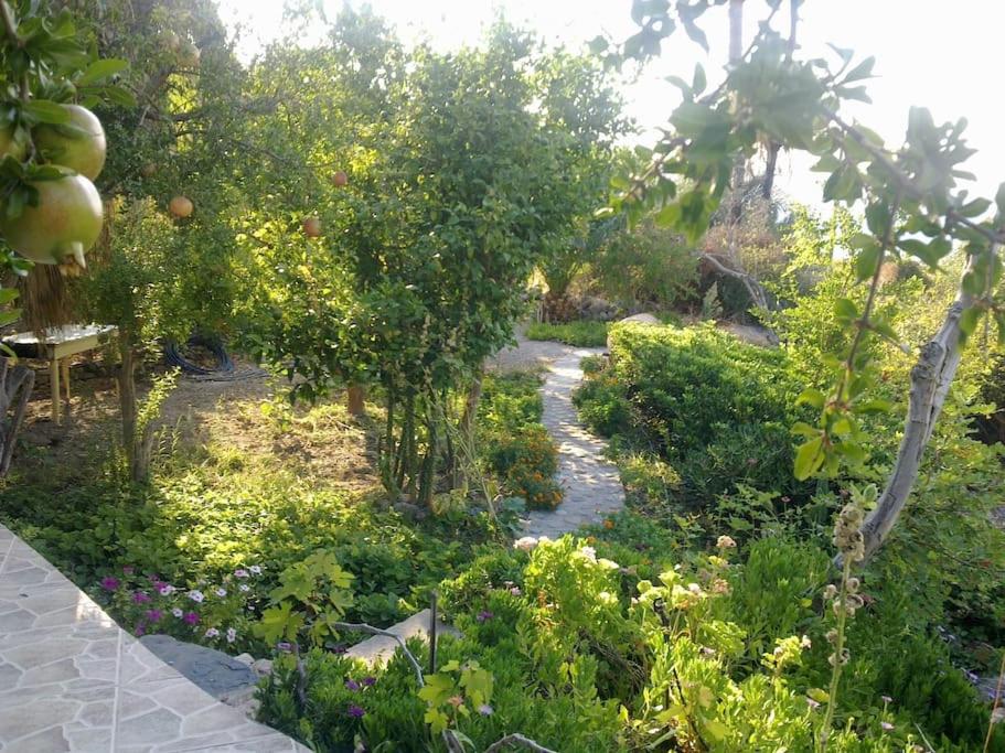 Dimitris family house