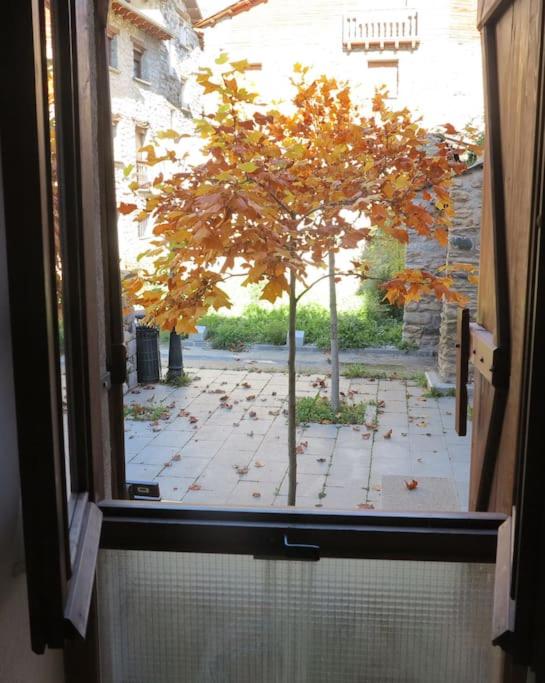 Apartamento centro Benasque