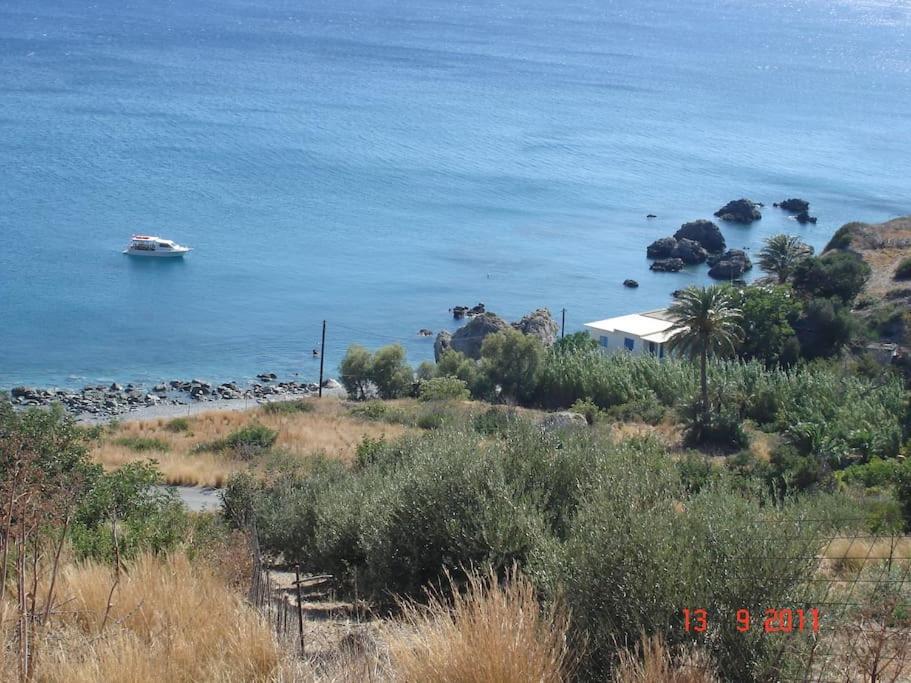 Dimitris family house