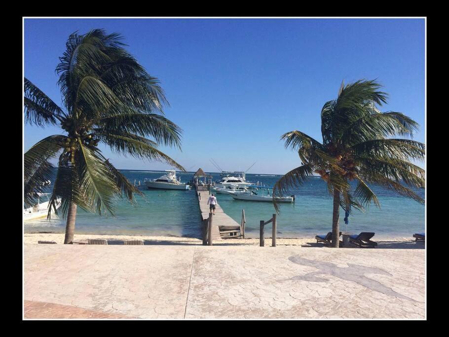 Casa Larimar Puerto Morelos view 3