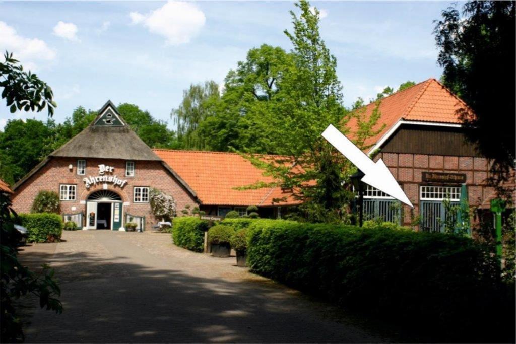 Ammerland 2