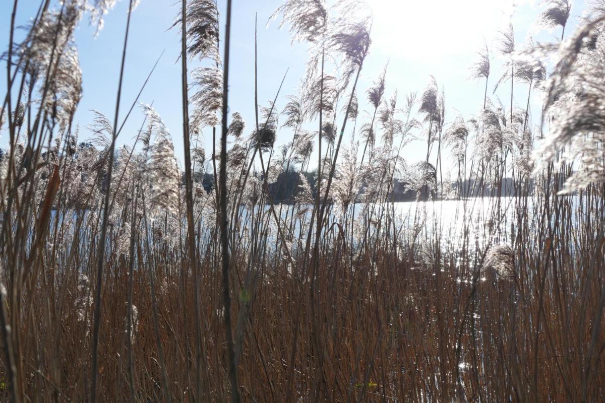 Landhaus am See App. 2 view 3