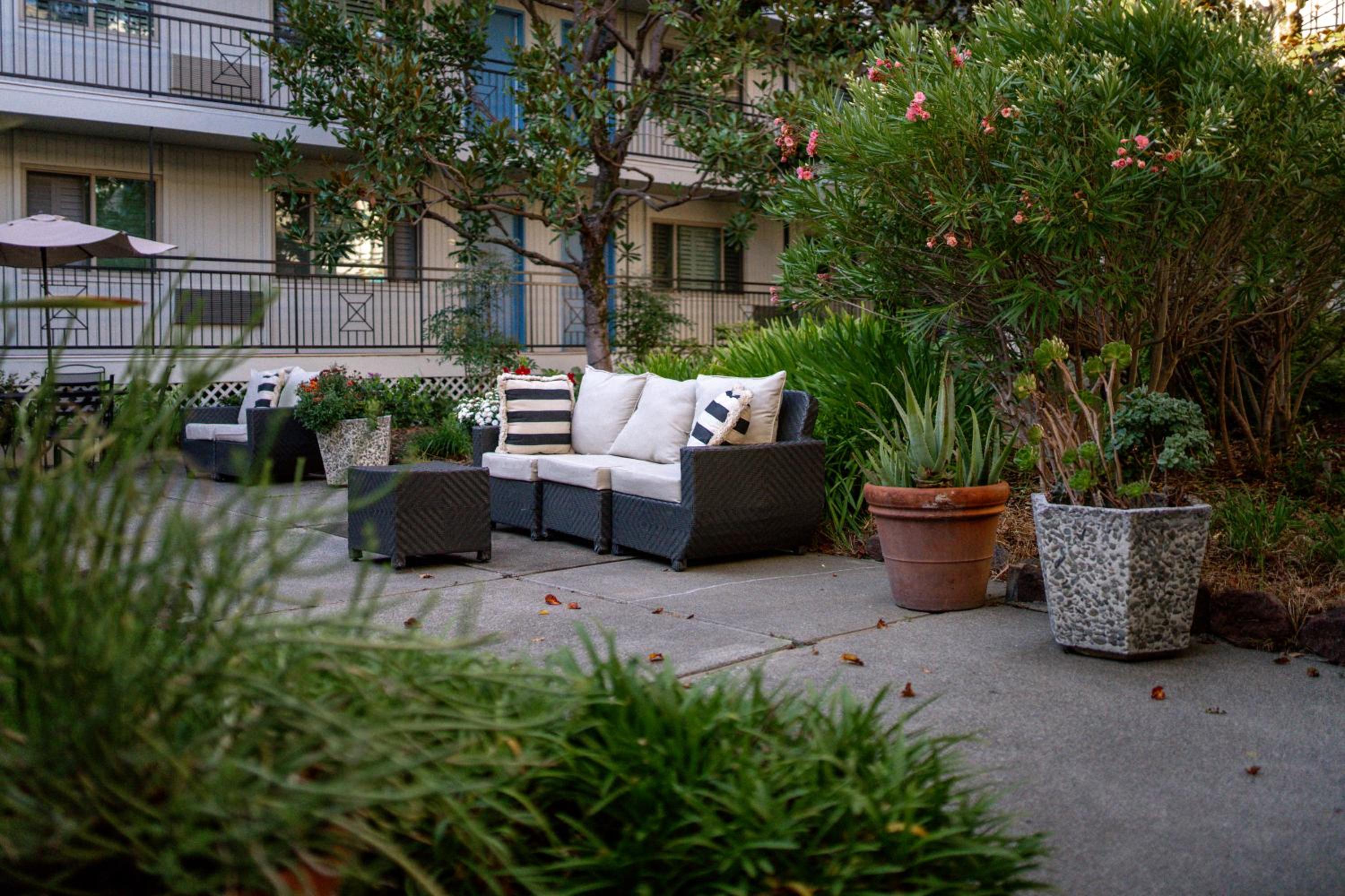 Marin Suites Hotel, 写真 16
