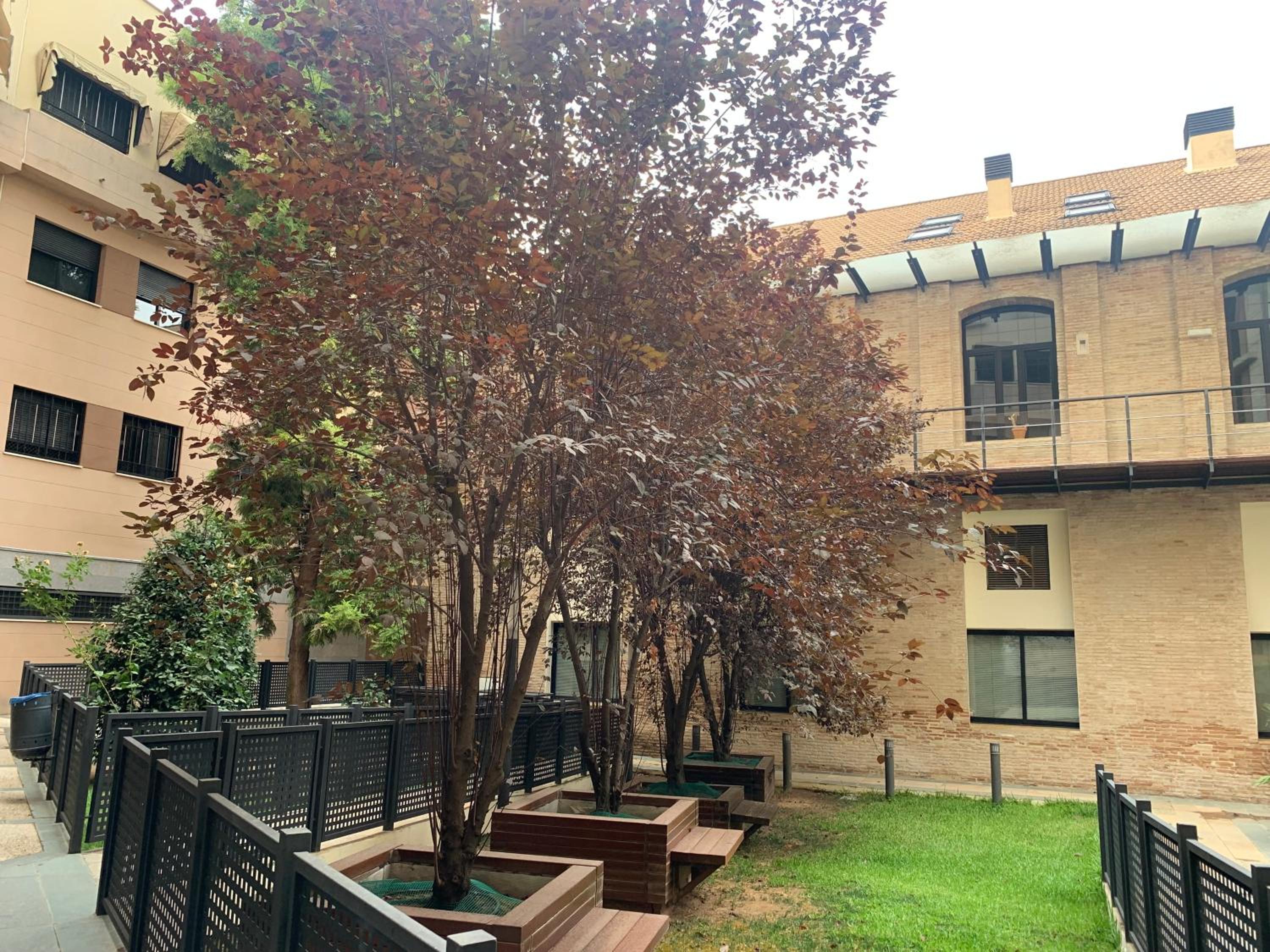 Photo 13
