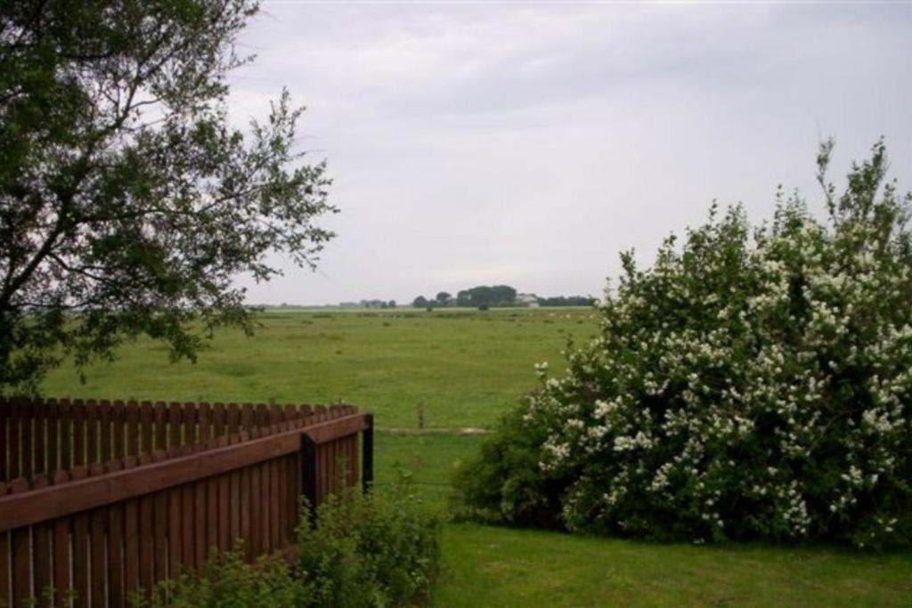 Wohnen unter Reet