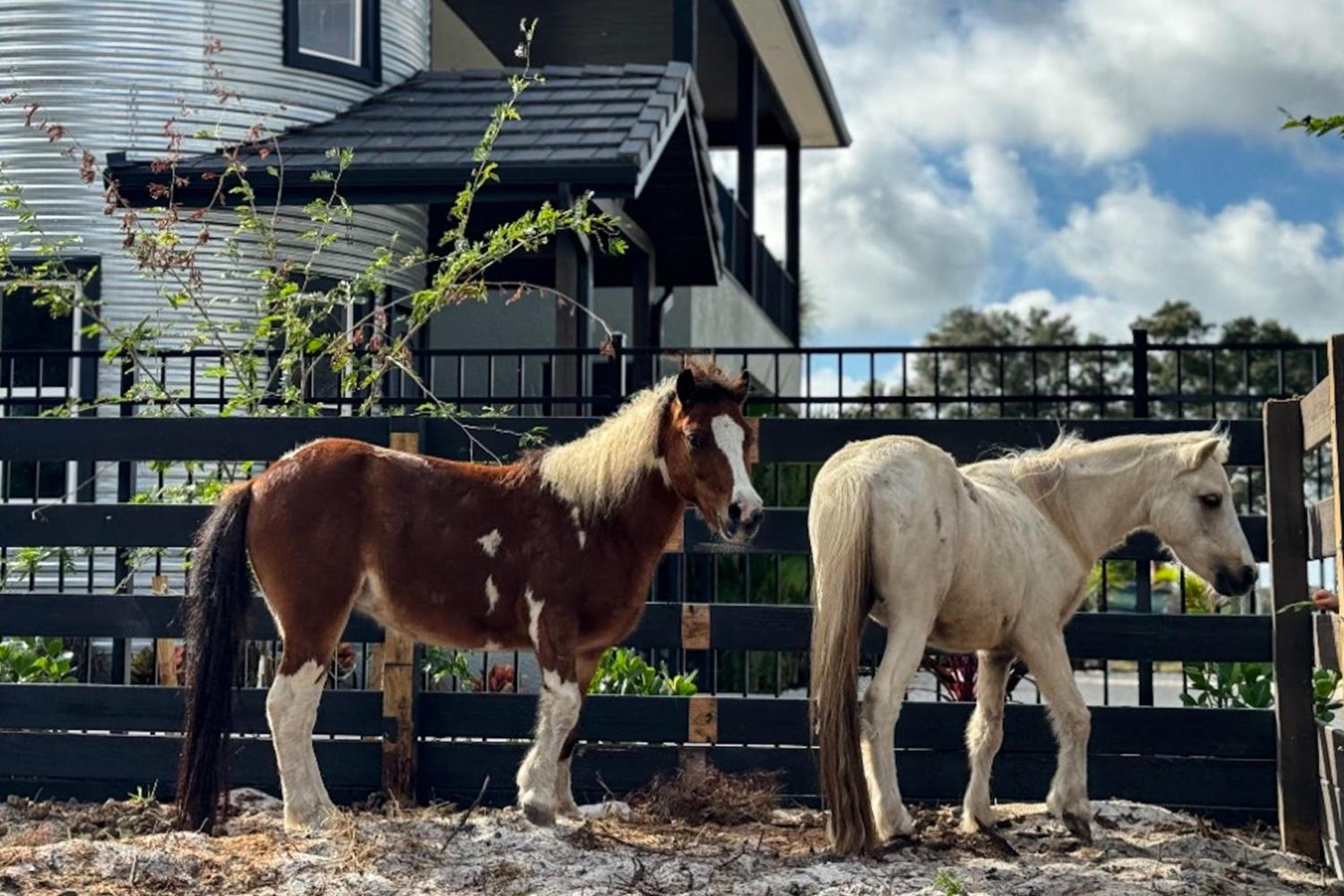 Less Than 2 Mi to Indian Rocks Beach! Home with Horses