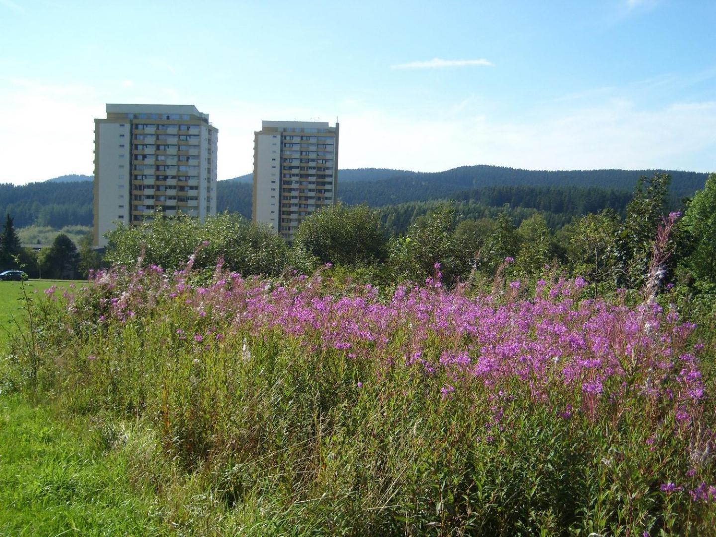 NEU! FeWo Panoramablick Hohegeiß Pool und Sauna