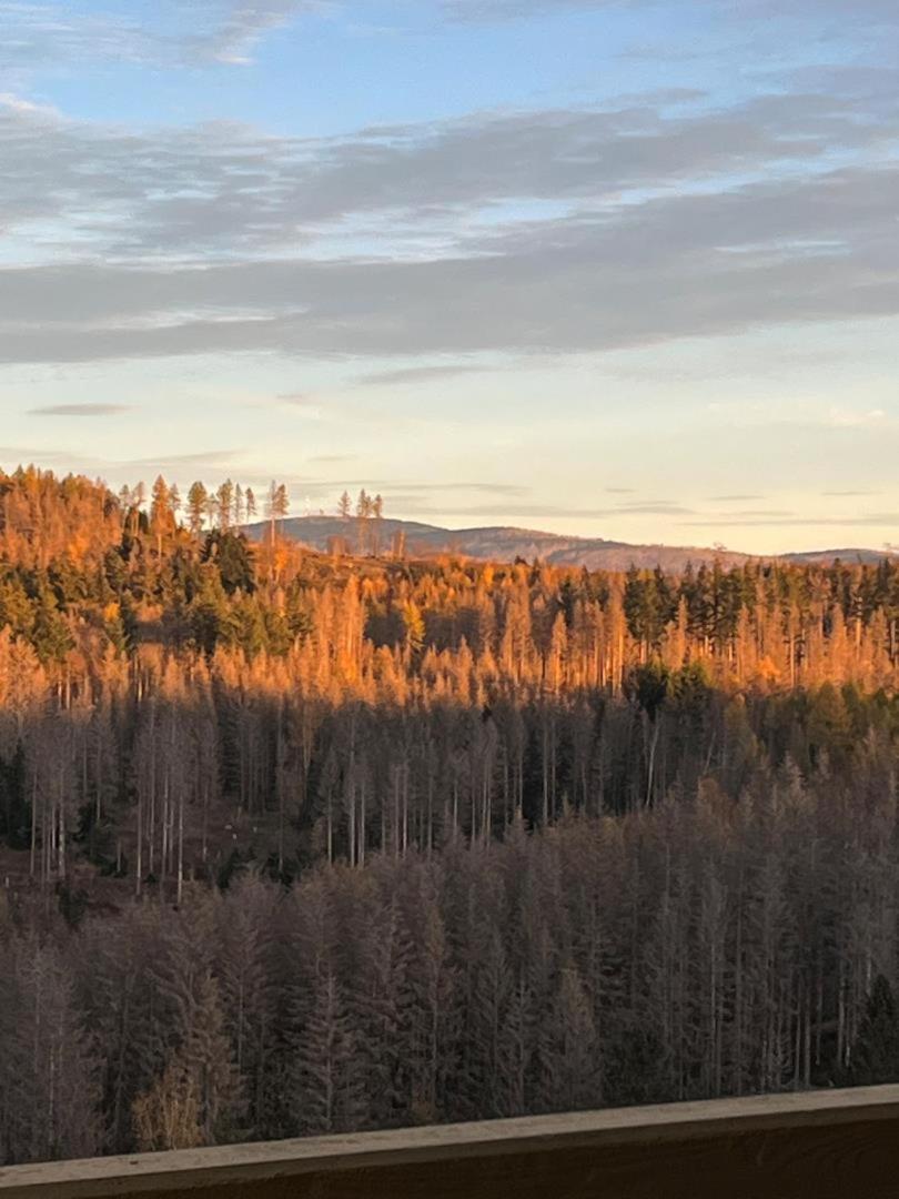 NEU! FeWo Panoramablick Hohegeiß Pool und Sauna