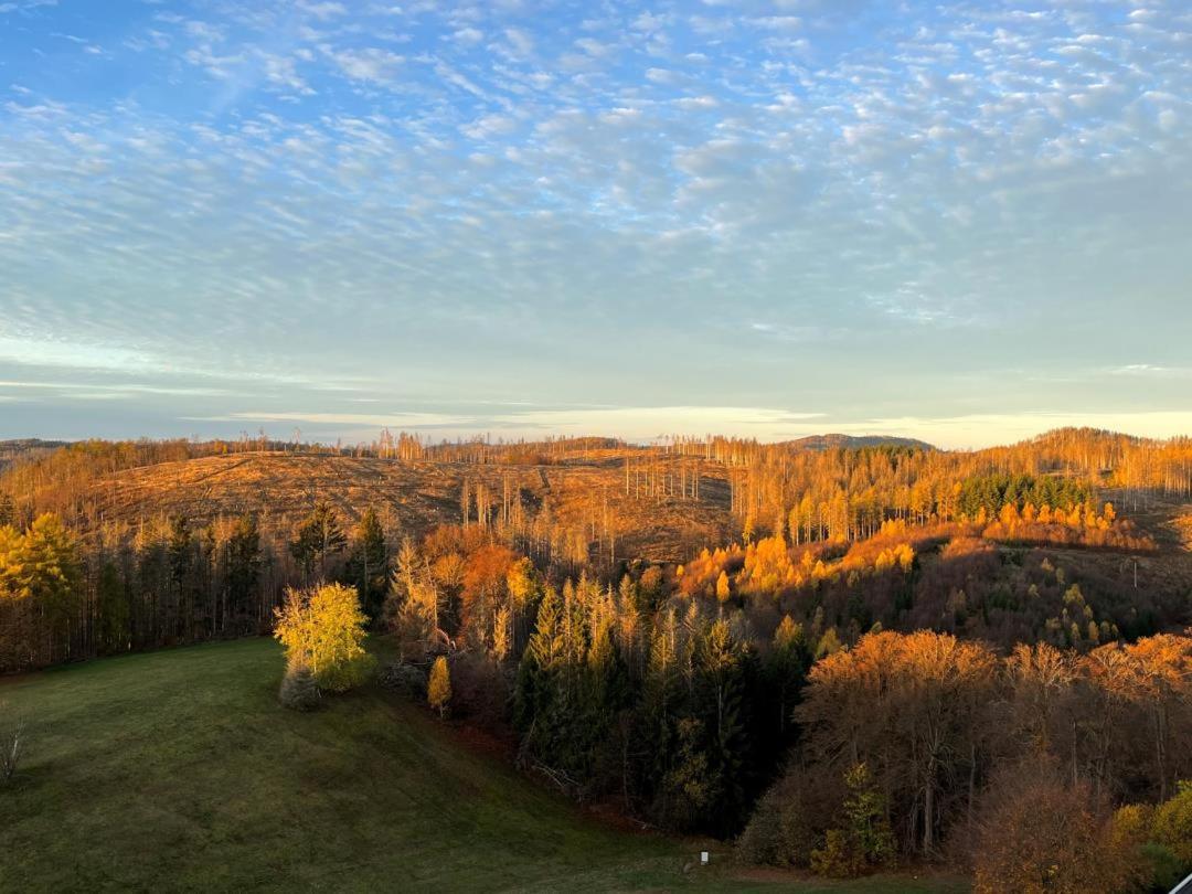 NEU! FeWo Panoramablick Hohegeiß Pool und Sauna