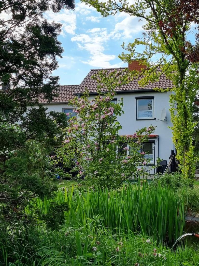 Ferienhaus Am Zollhaus